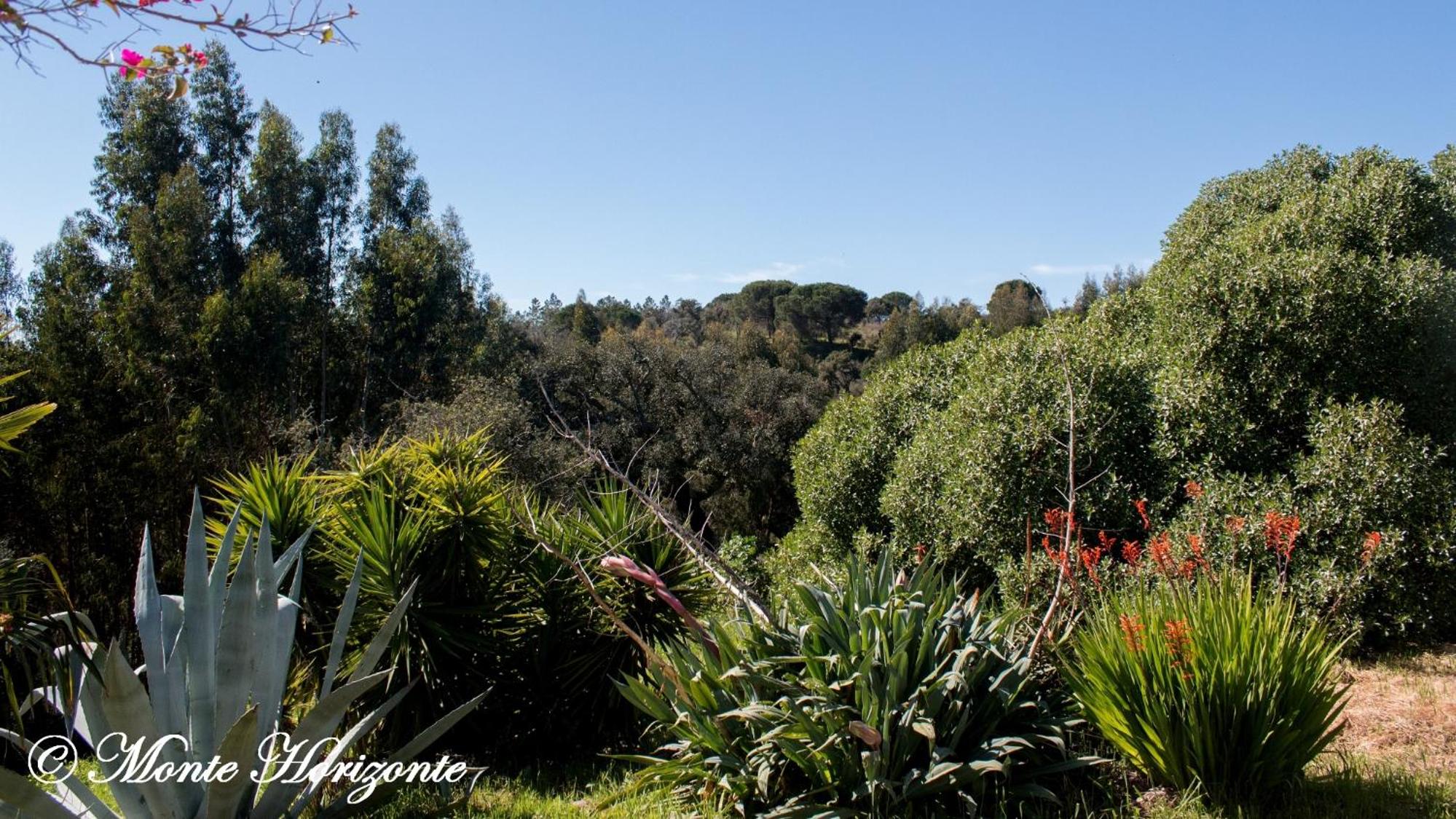 Monte Horizonte - Turismo Rural- Casas de Campo - Eco e Natureza - Adults Only view 5