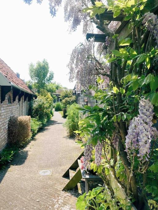 Uniek vakantieverblijf Den Burg