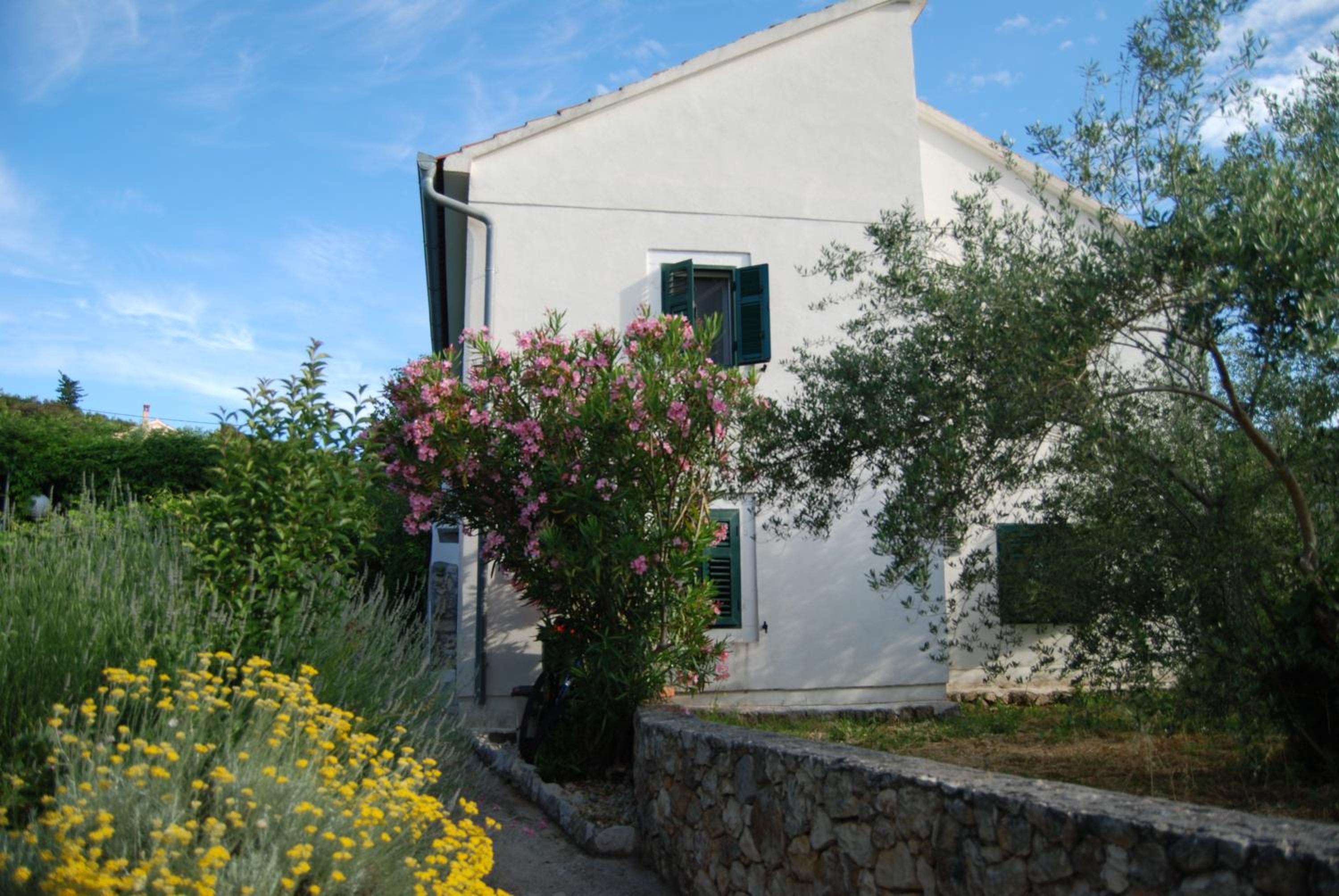 Photo 40