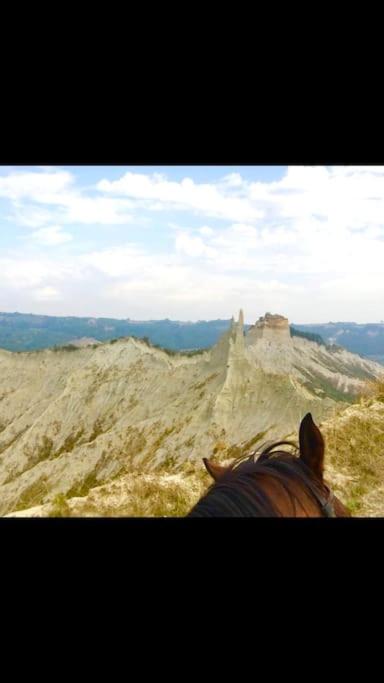 Dimora Bella Civita Bagnoregio