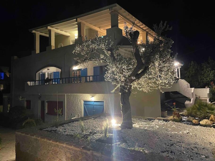 OctopusGarden Apartments Porto Cheli