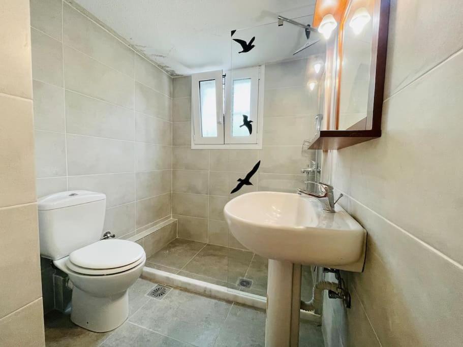 OctopusGarden Apartments Porto Cheli