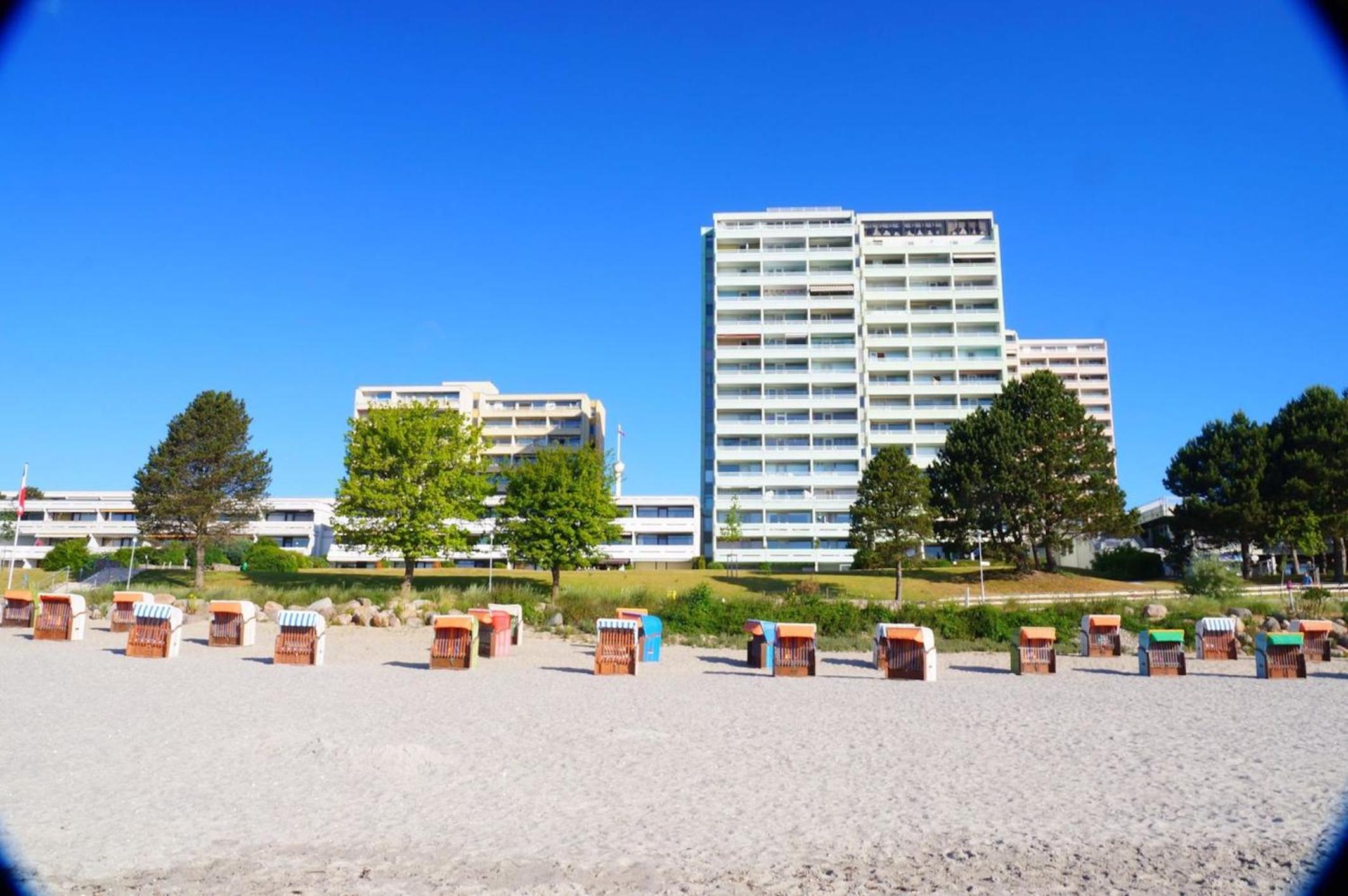 Ostseeschwalbe am Fahrenkrog