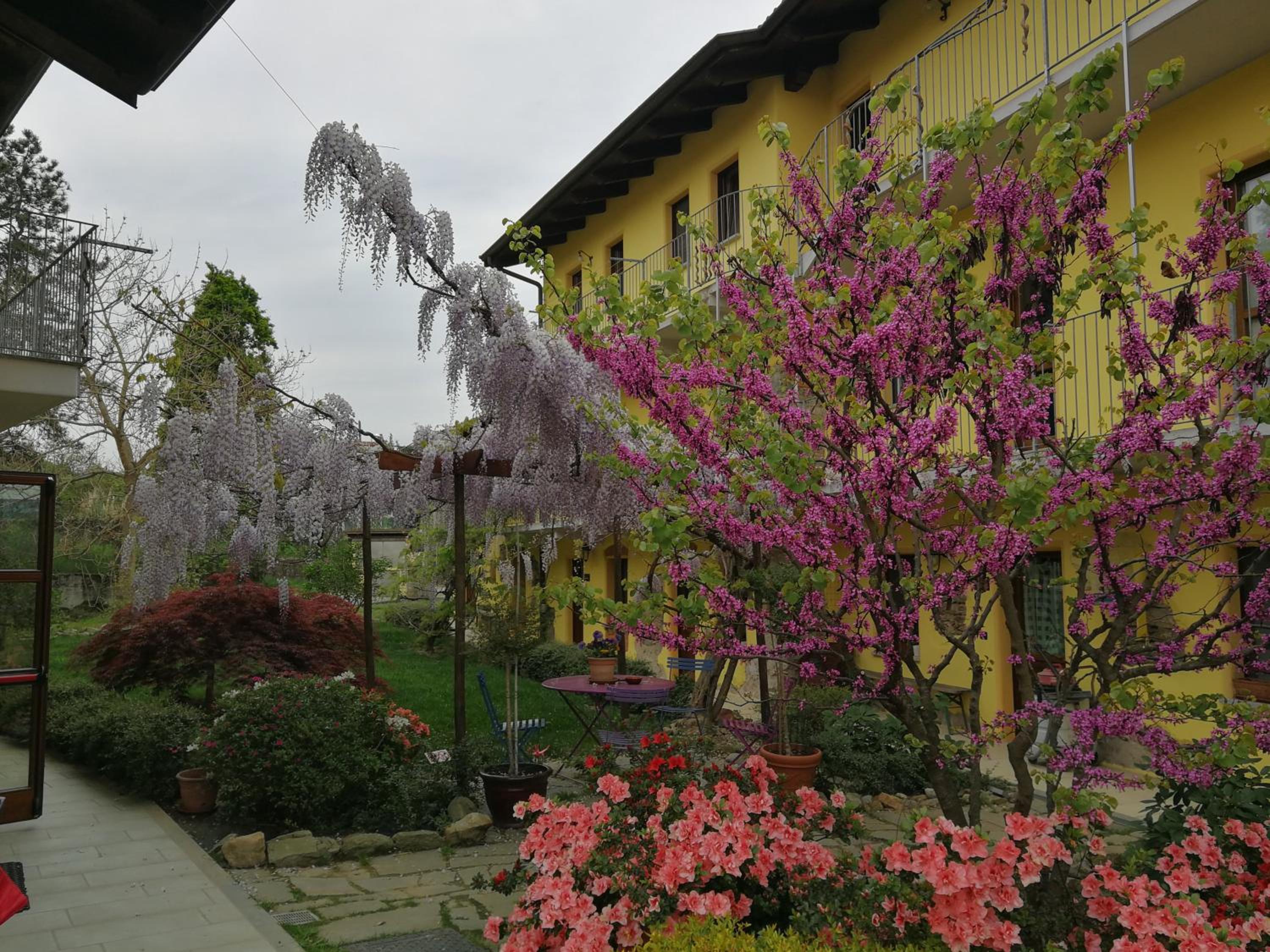 Agriturismo Tra Serra E Lago view 4