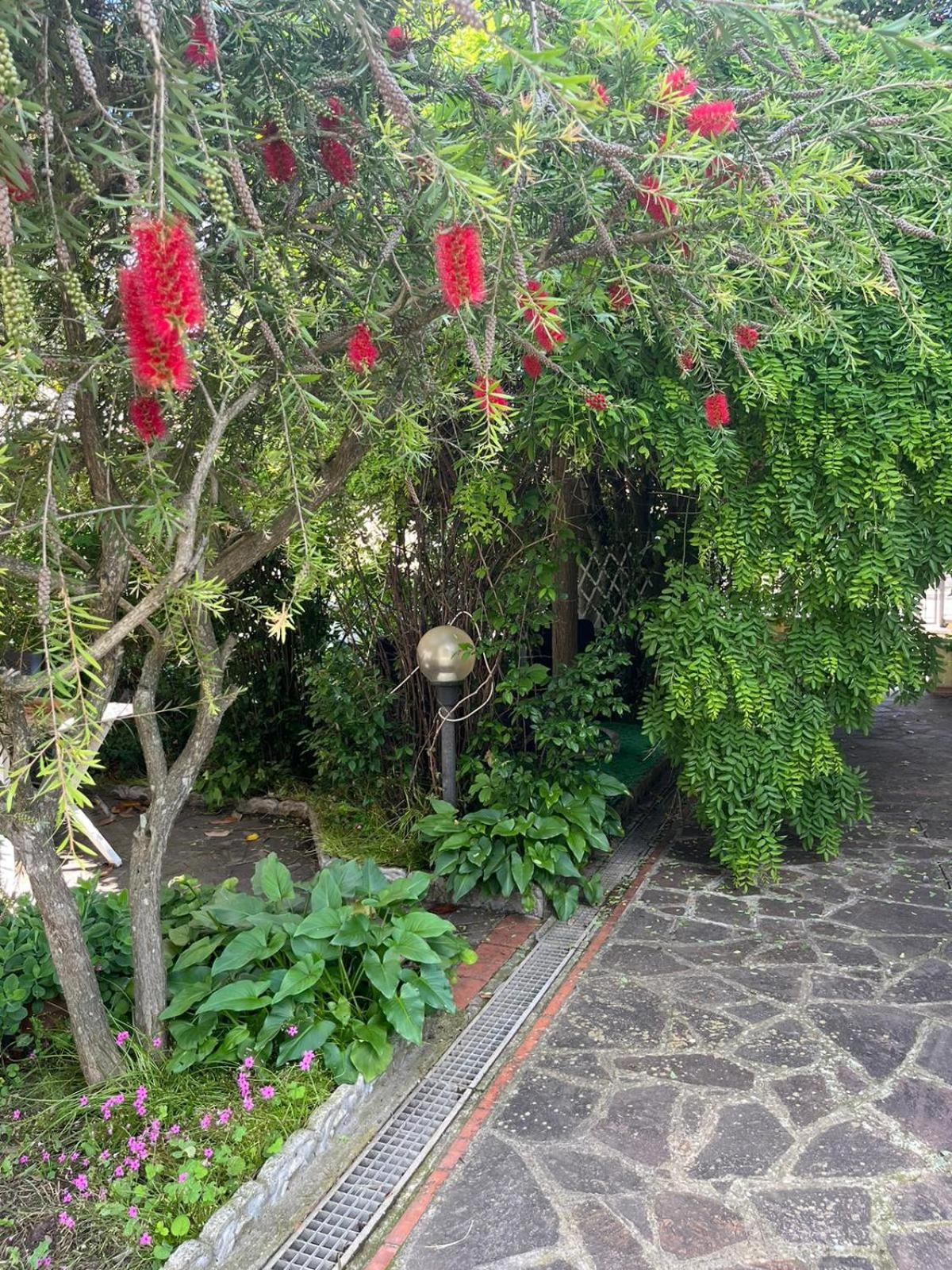 La casa di Mary view 5