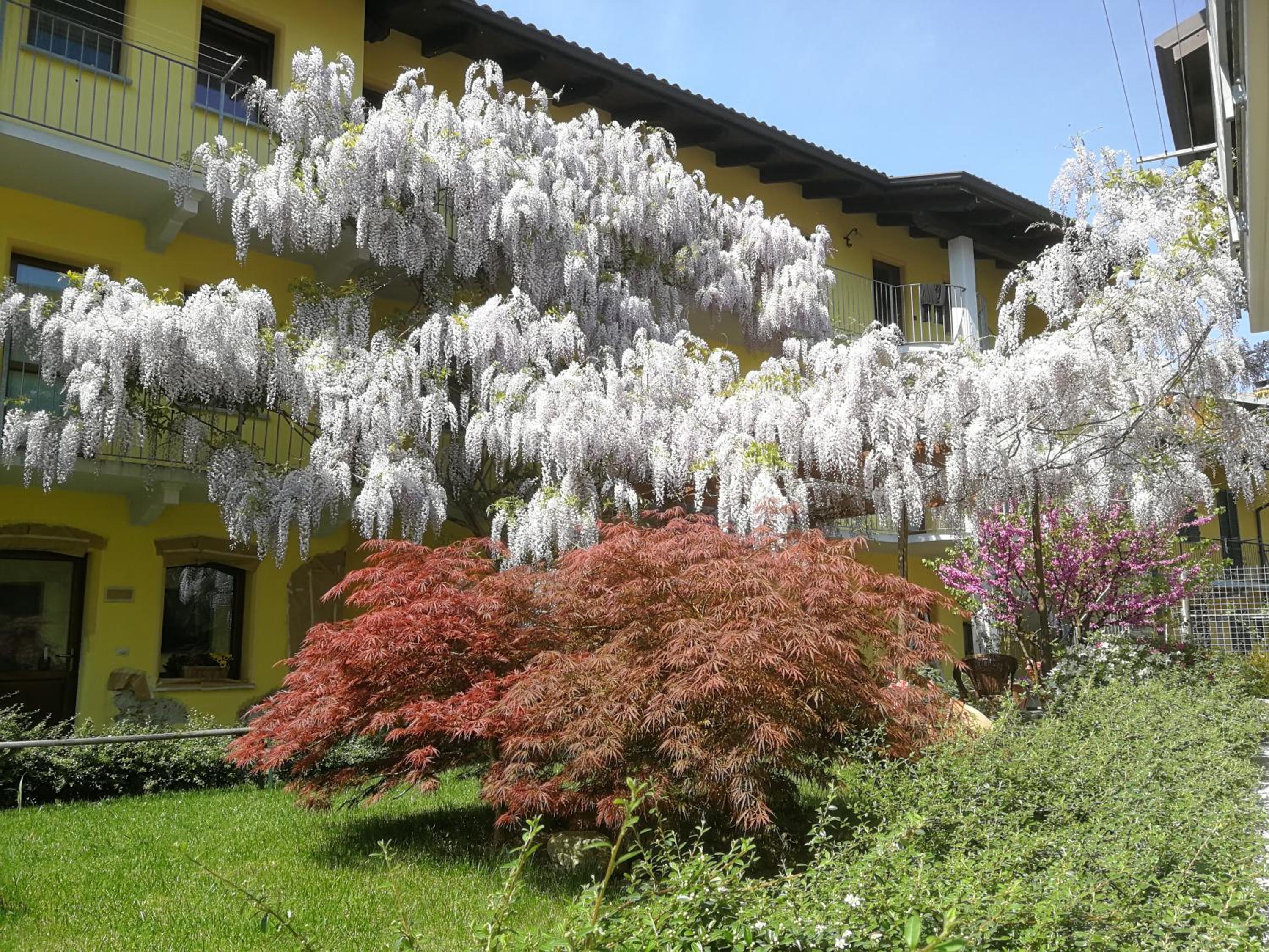 Agriturismo Tra Serra E Lago view 3