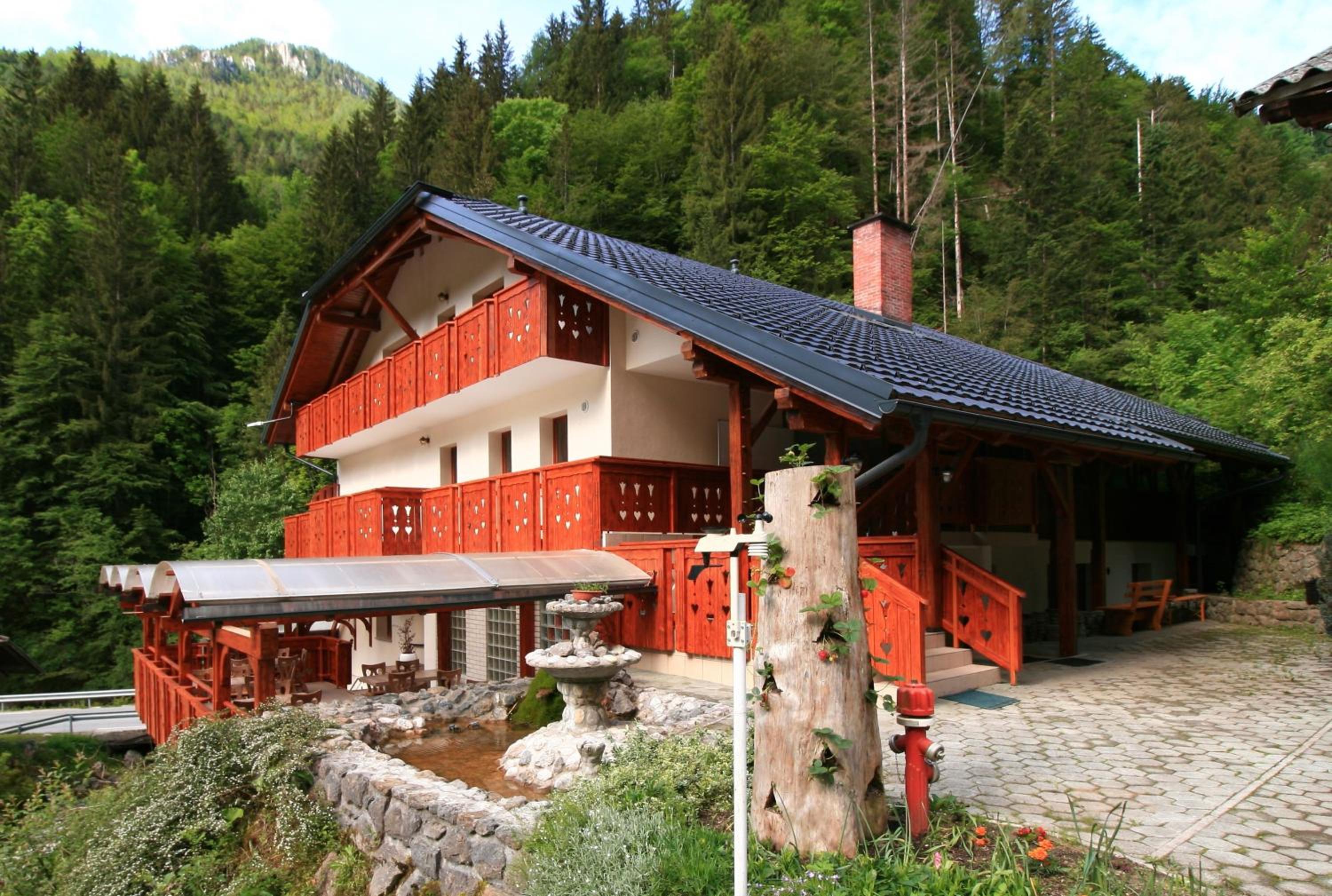 Photo 8