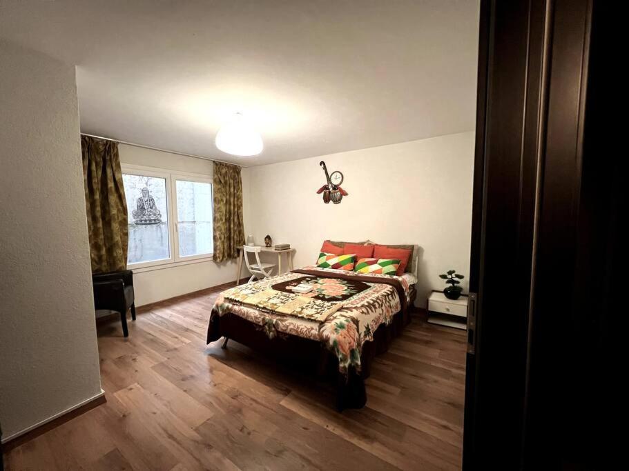 Spacious Apartment in luxurious Villa-Geneva
