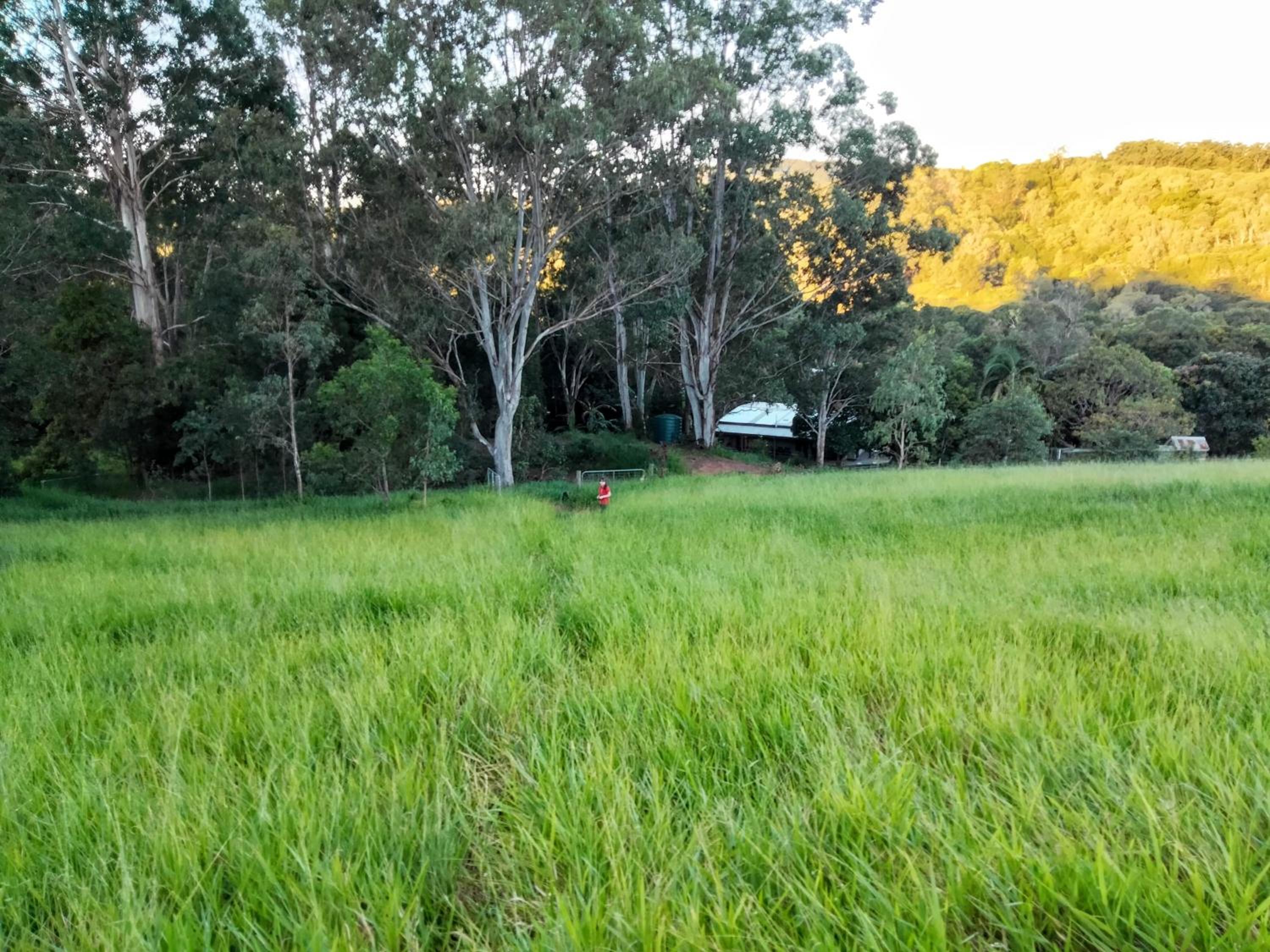 Green Hill Cottage, Heart of Noosa Hinterland