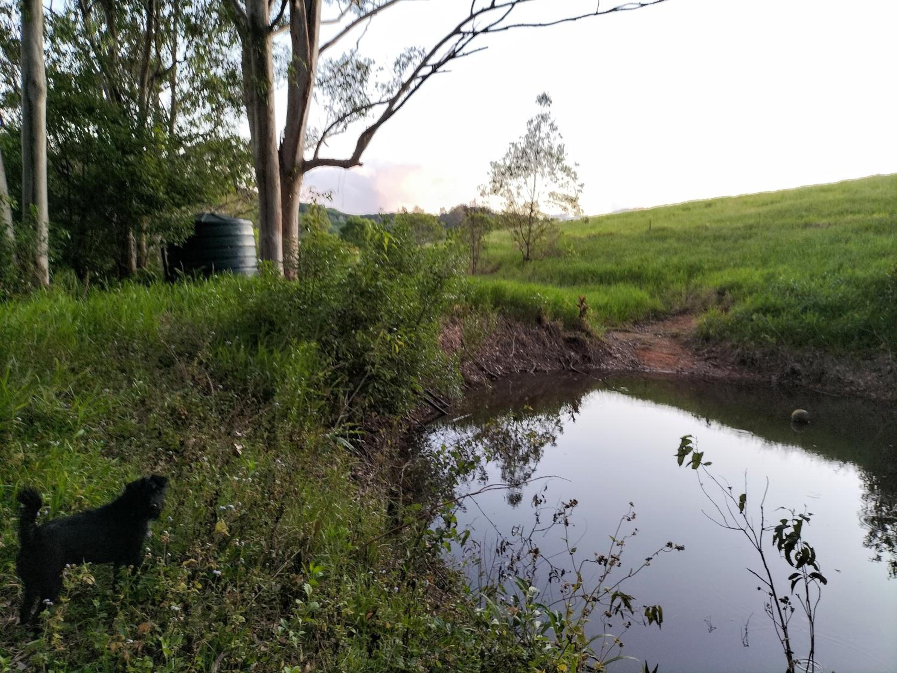 Green Hill Cottage, Heart of Noosa Hinterland