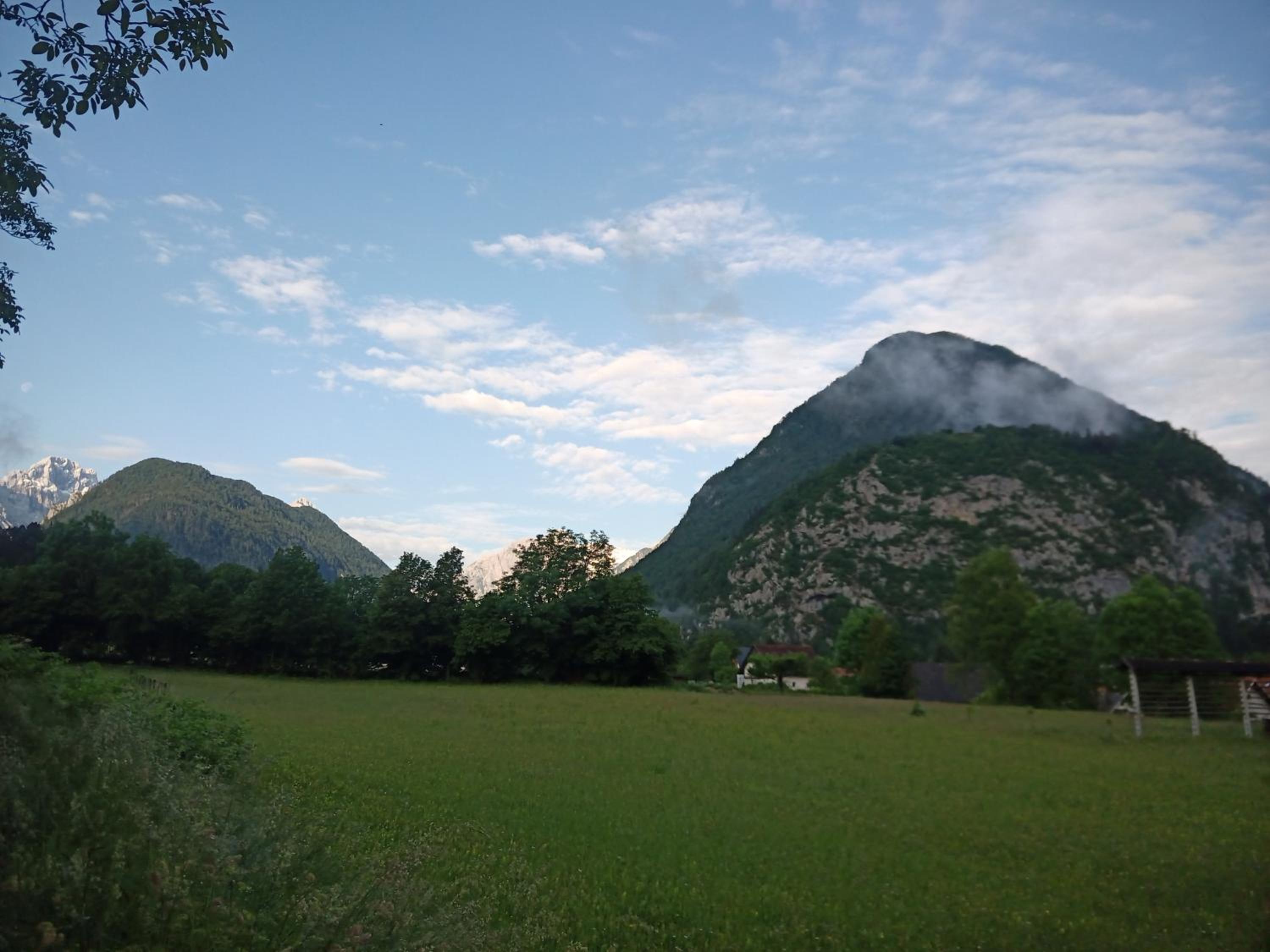 Photo 41