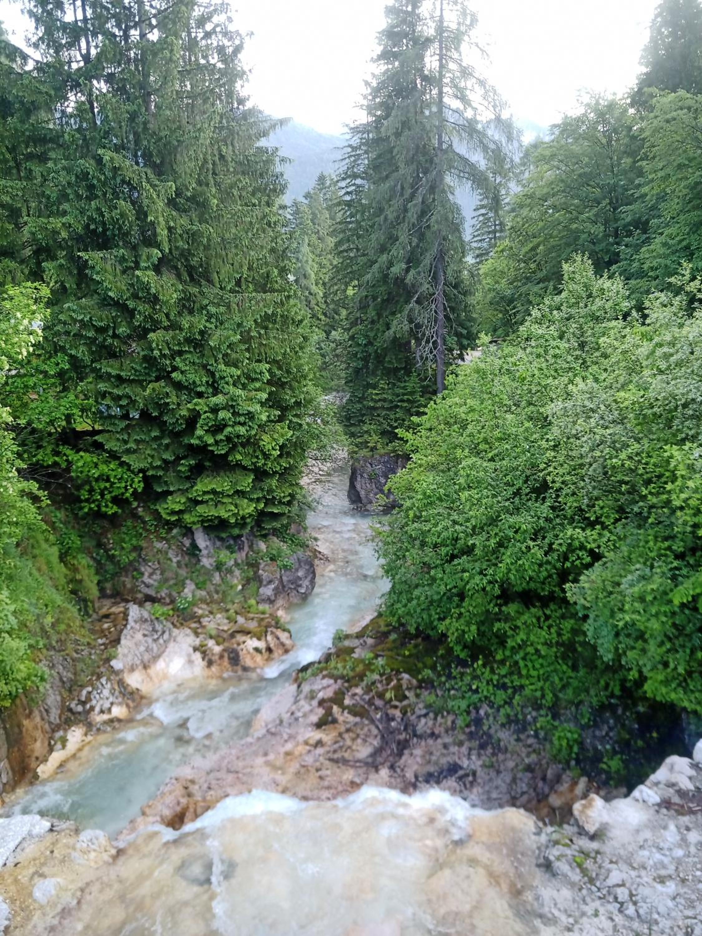Photo 43