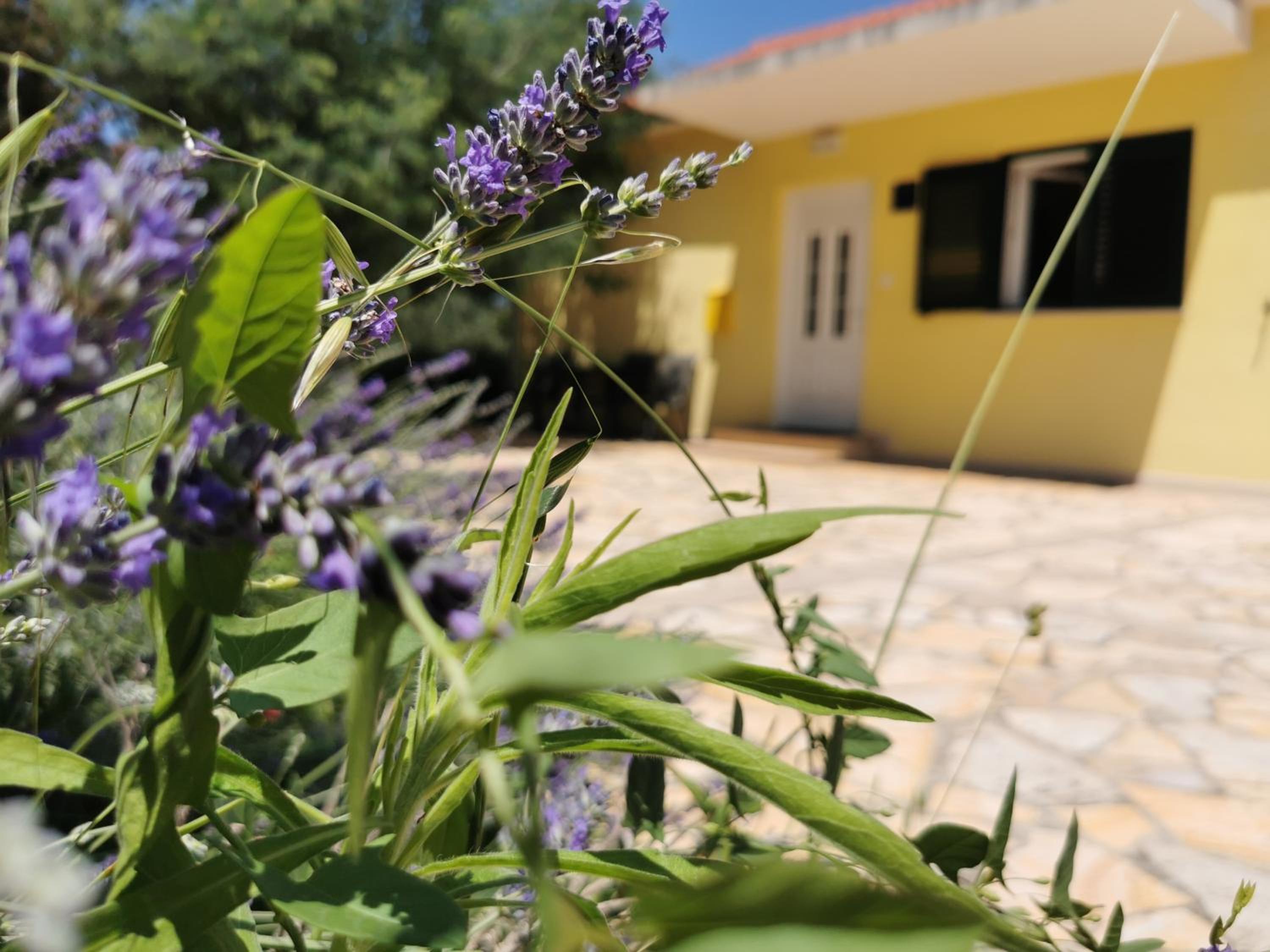 HOLIDAY HOUSE Ose view 4