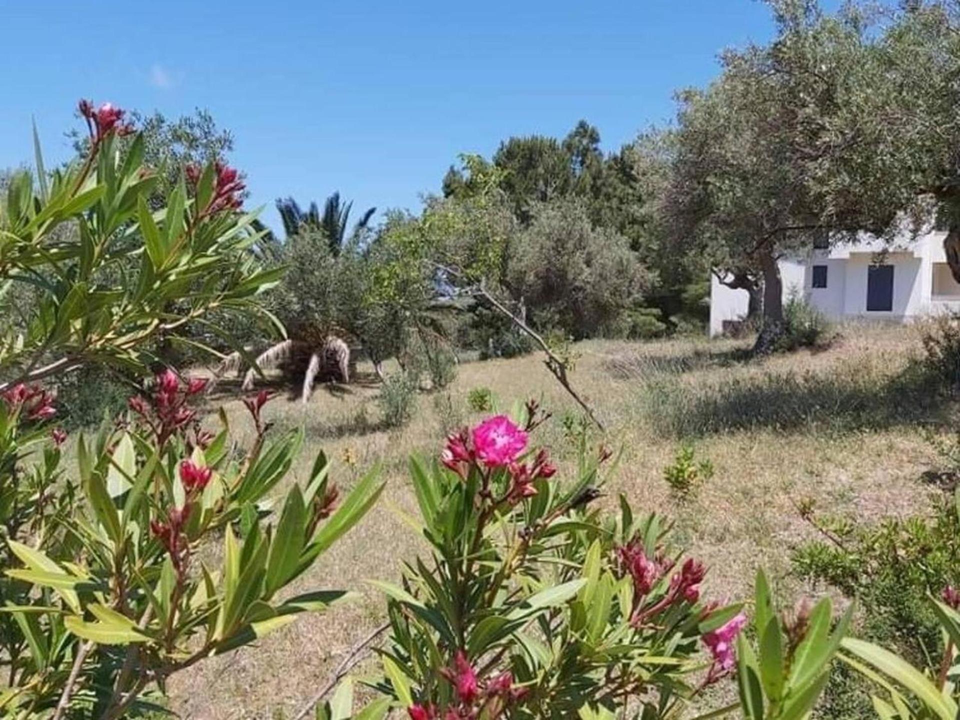 Secluded 3 bed apartment amazing views