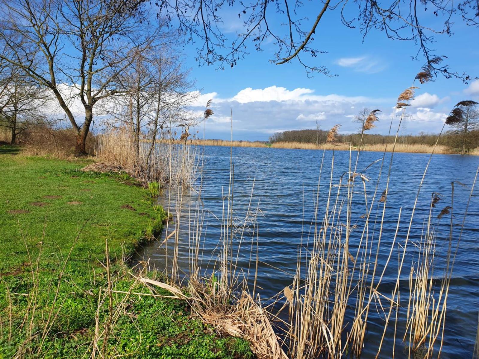 Ferienhaus Undine mit E-Auto-Ladestation
