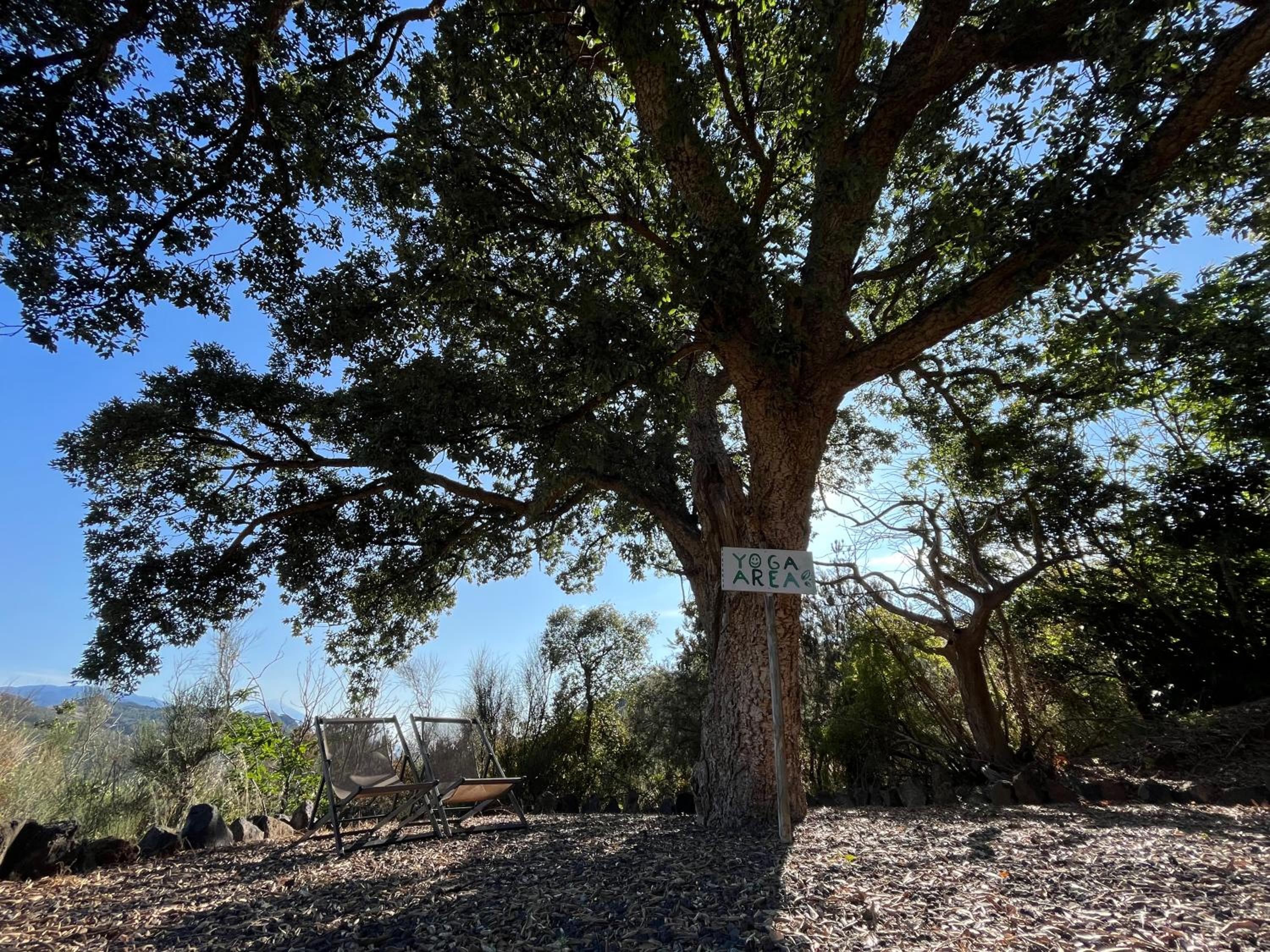 Finca el Roque photo 2