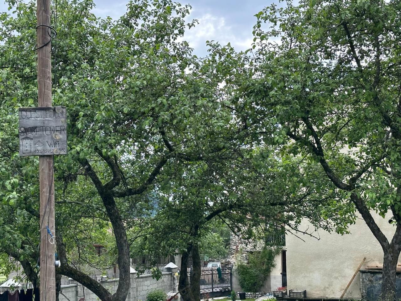 Photo 17