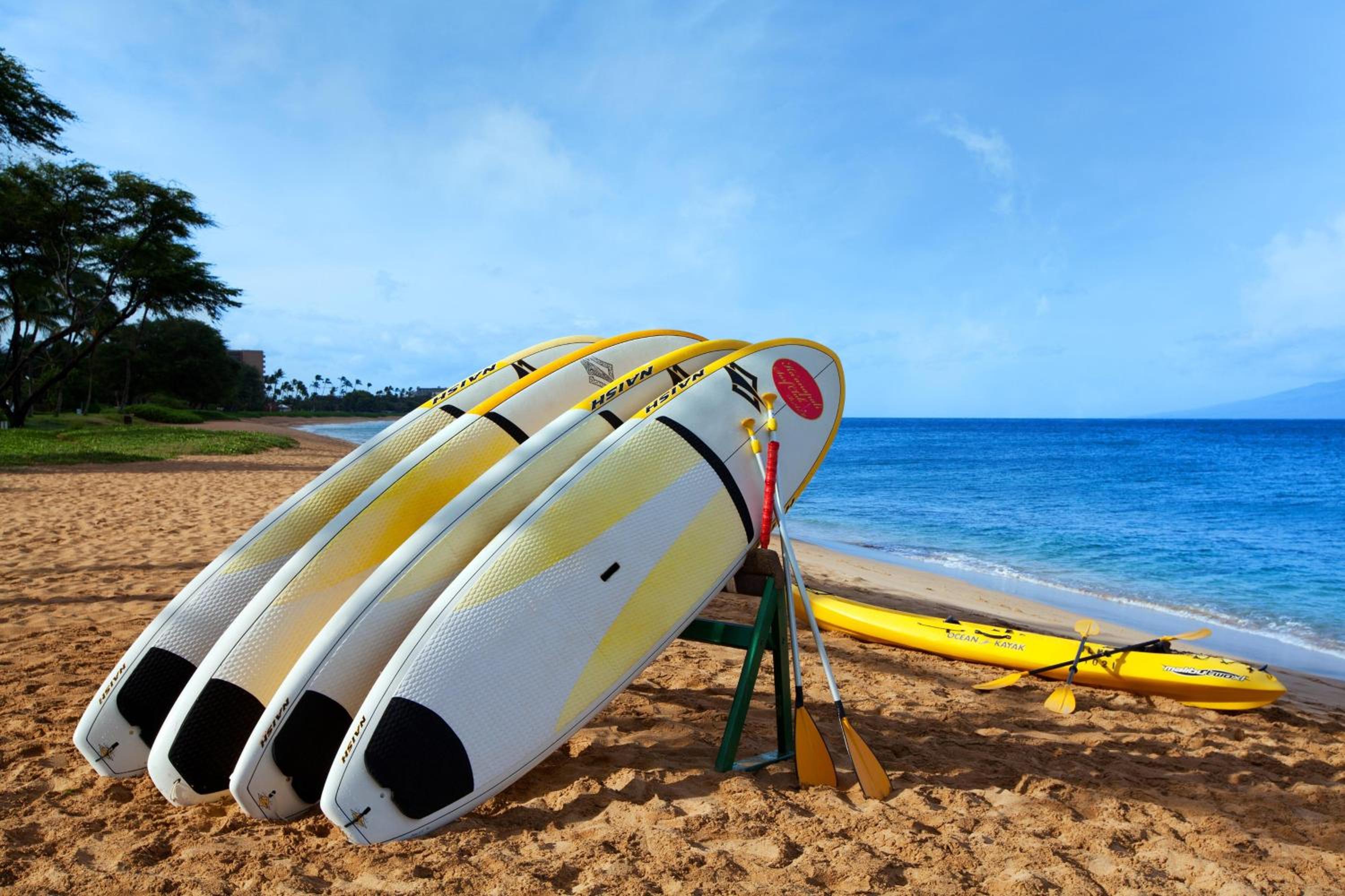 The Westin Ka'anapali Ocean Resort Villas, Bilde 33