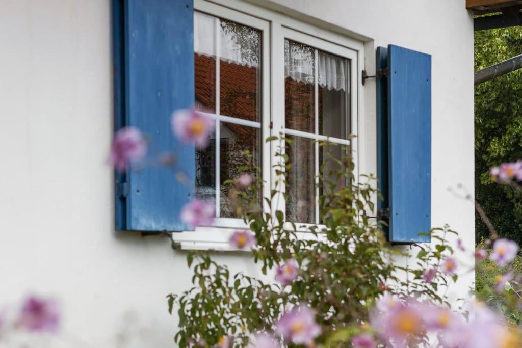 Schönes Ferienhaus in Allgäuer Top-Lage