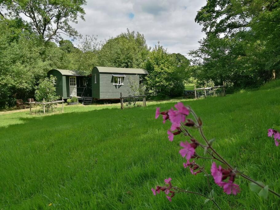Penn Bergeyn Shepherd's Huts view 5