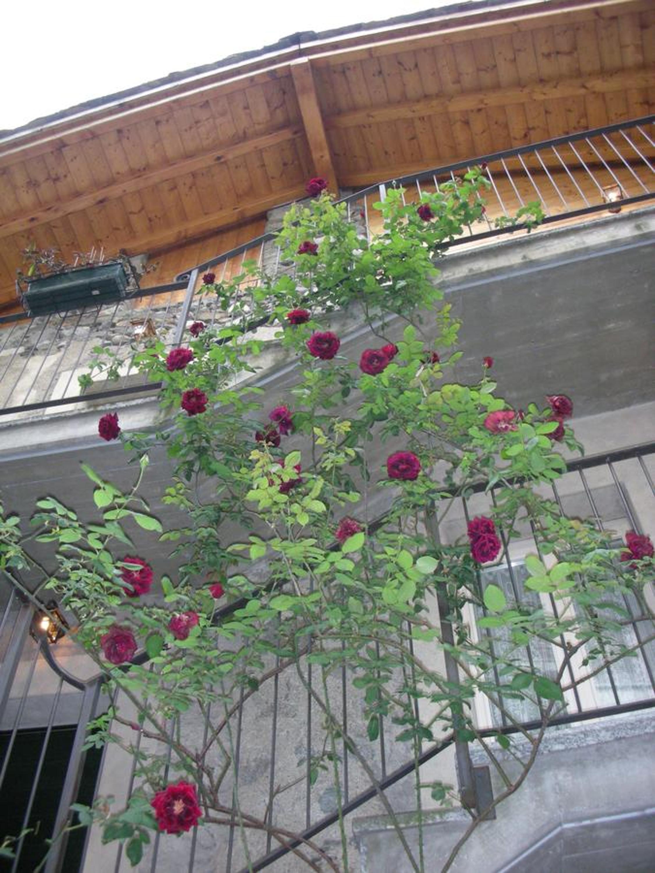 Photo 39