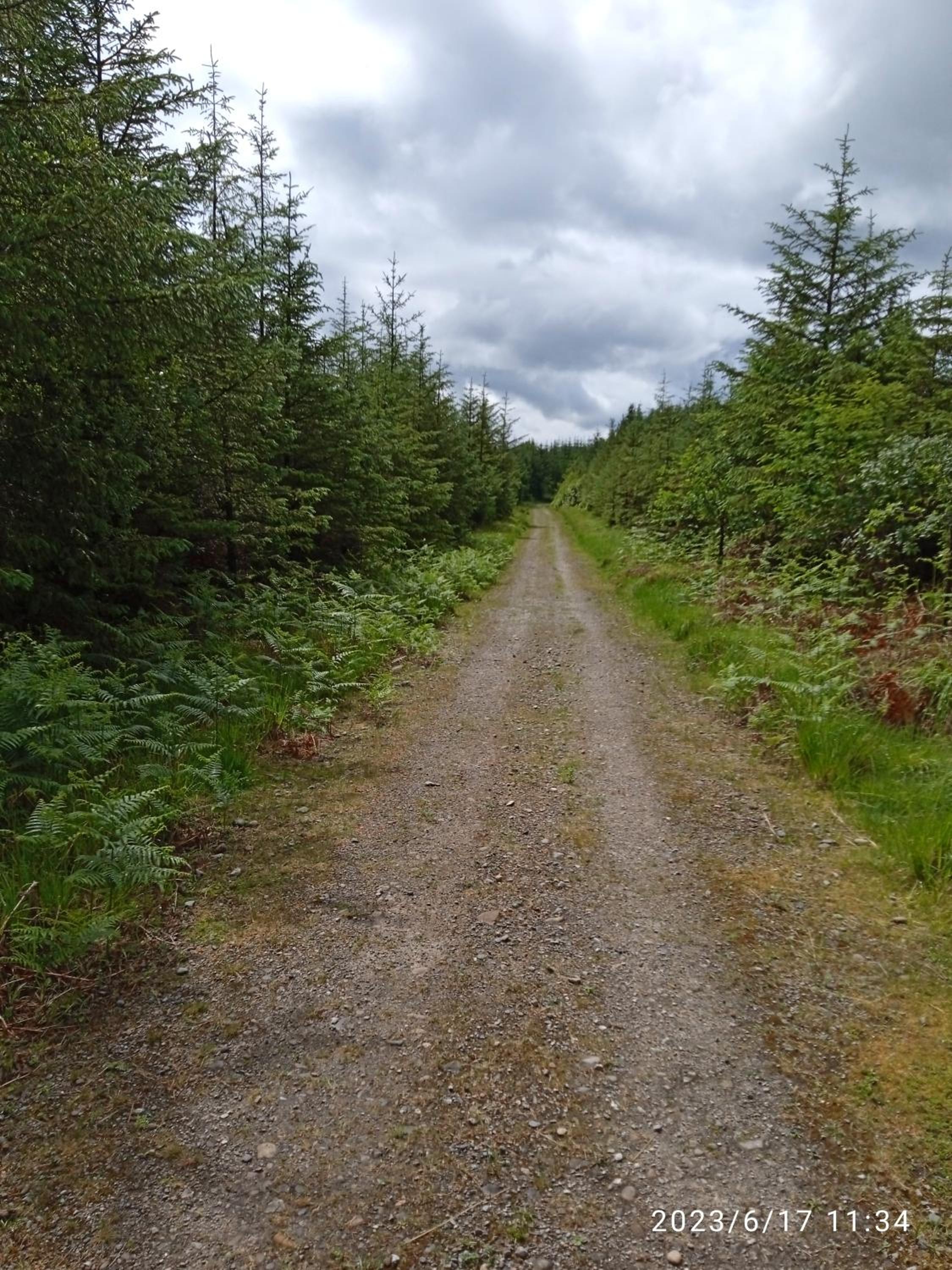 Nire Valley Cottage