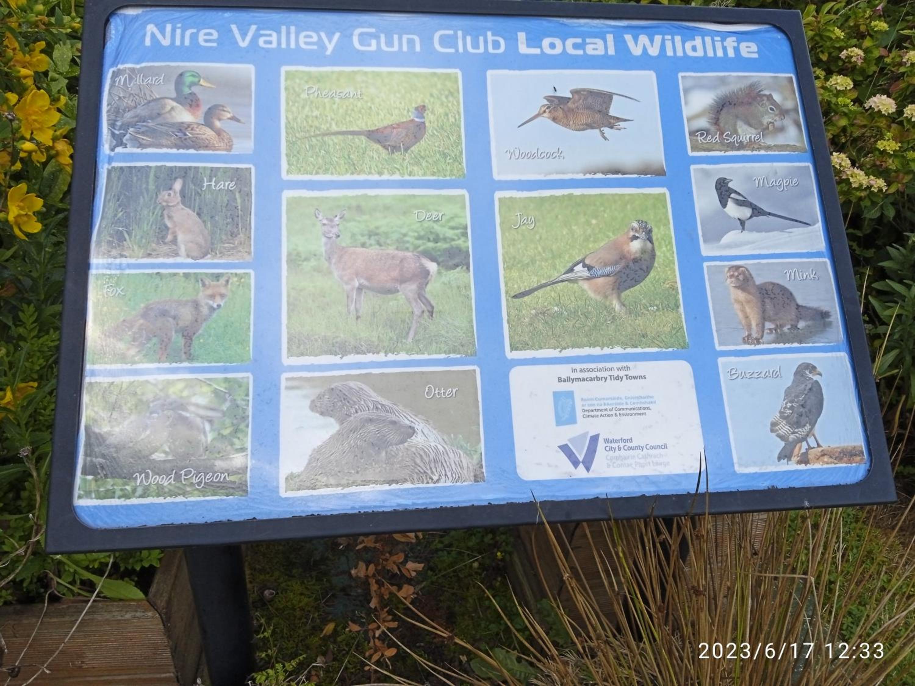 Nire Valley Cottage
