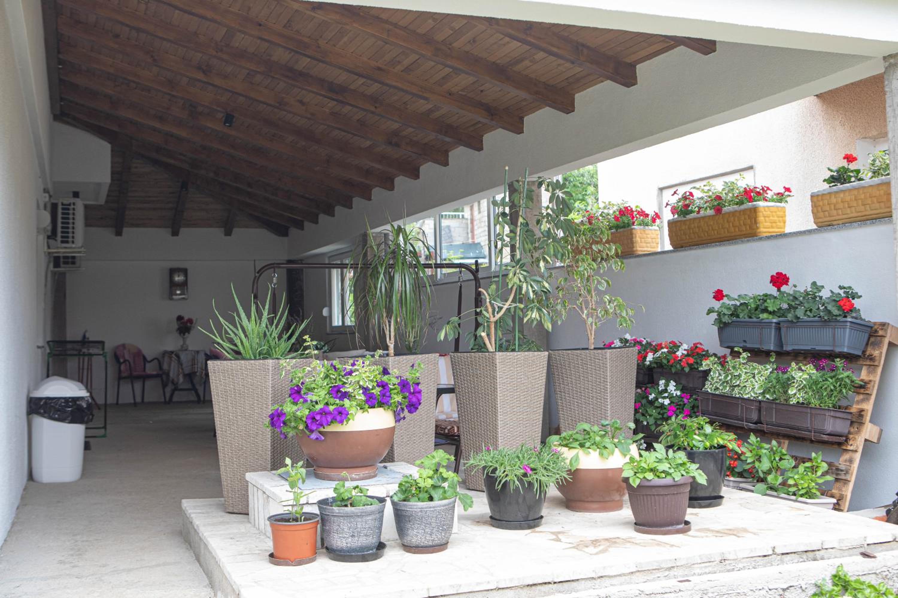 Apartmani Budimčić