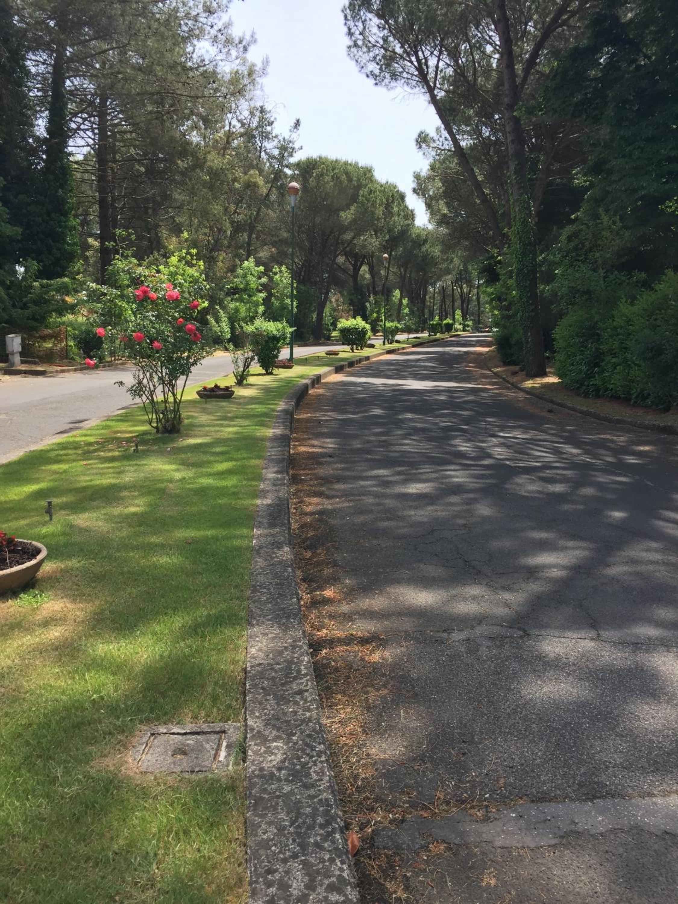 Luxury Villa Park view 4