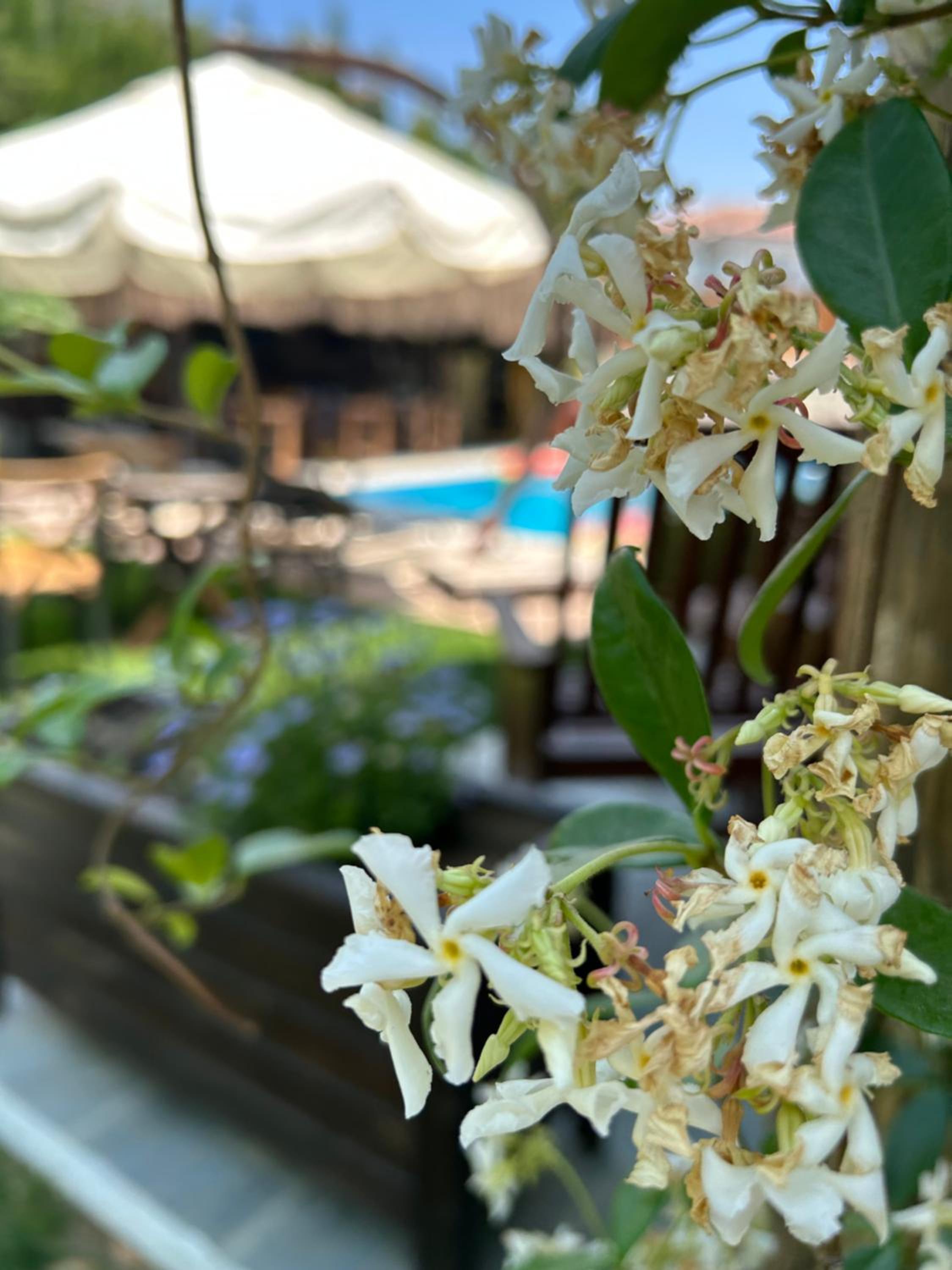 Pupa Alaçatı Butik Otel - Image 29