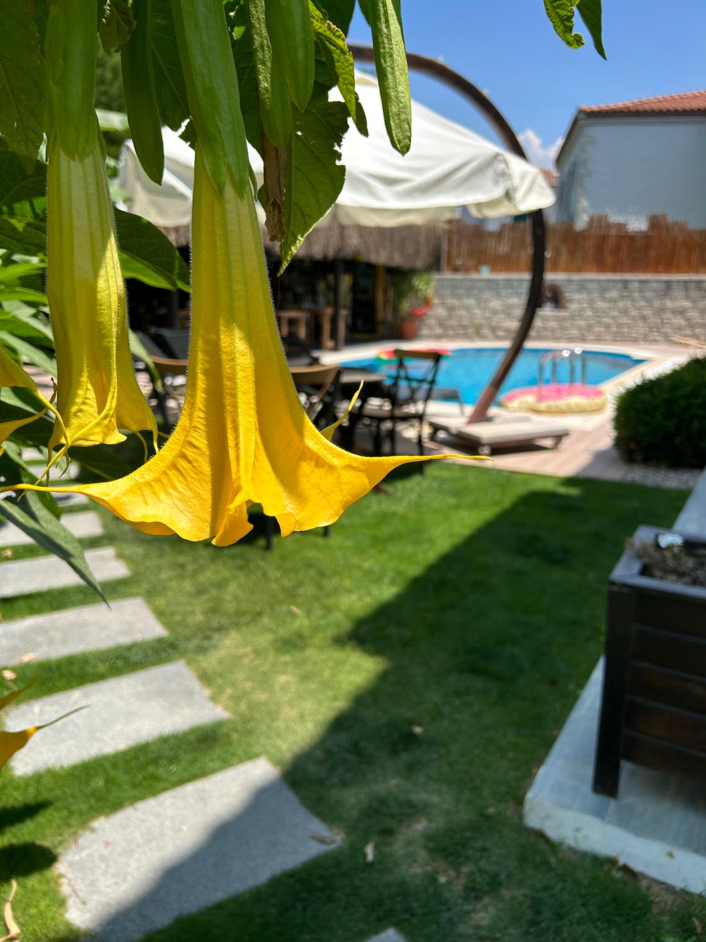 Pupa Alaçatı Butik Otel - Image 28