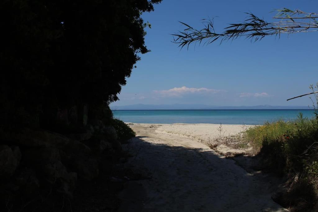50 metres from the beach