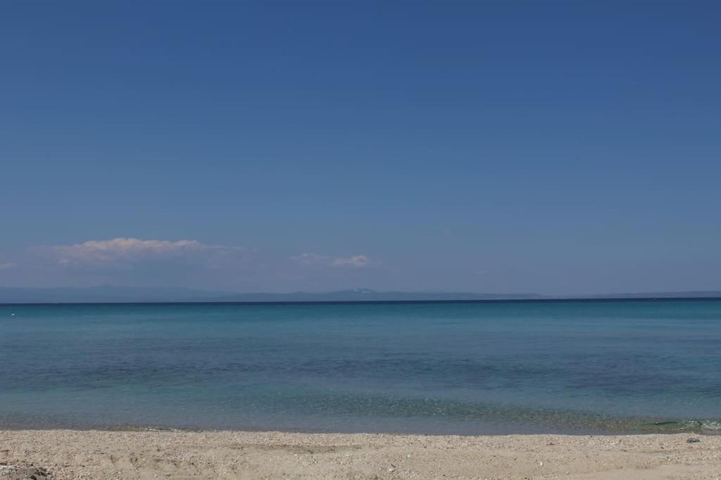 50 metres from the beach