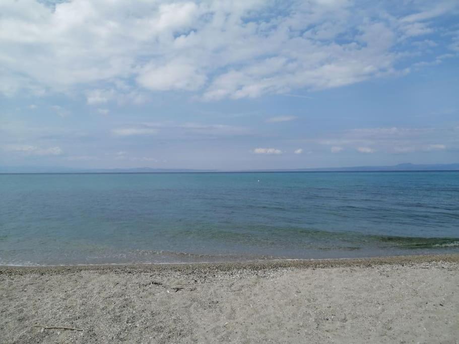 50 metres from the beach