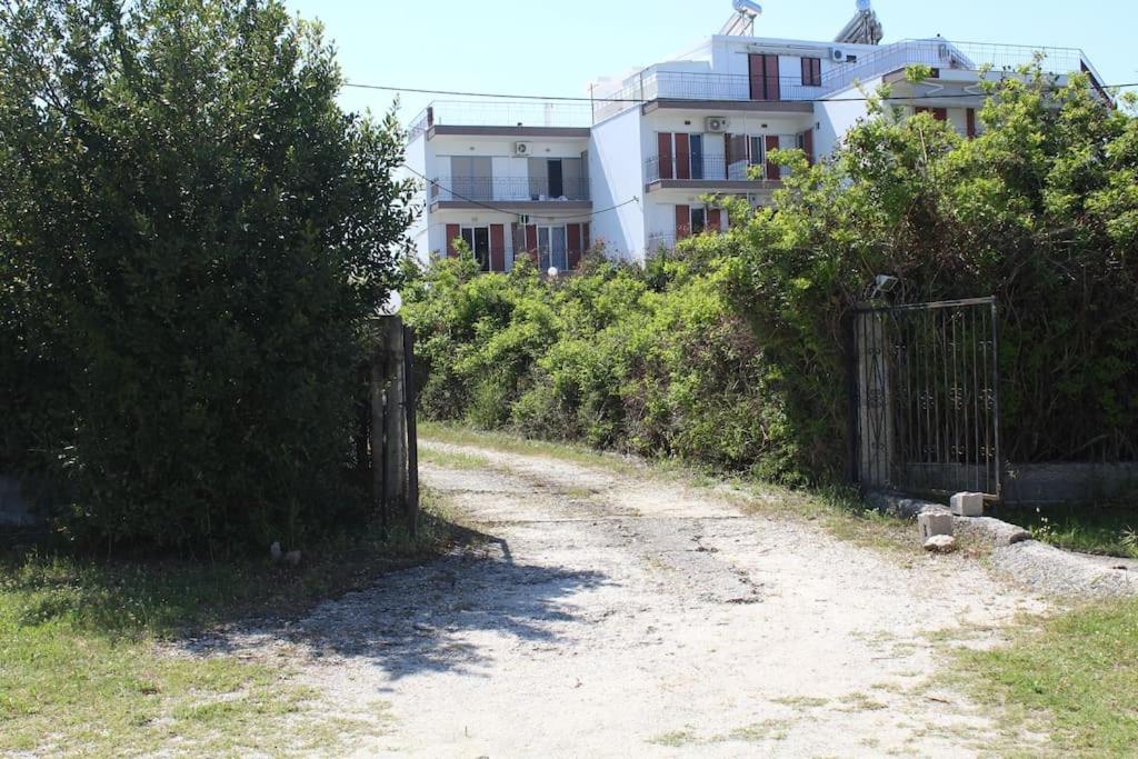 50 metres from the beach