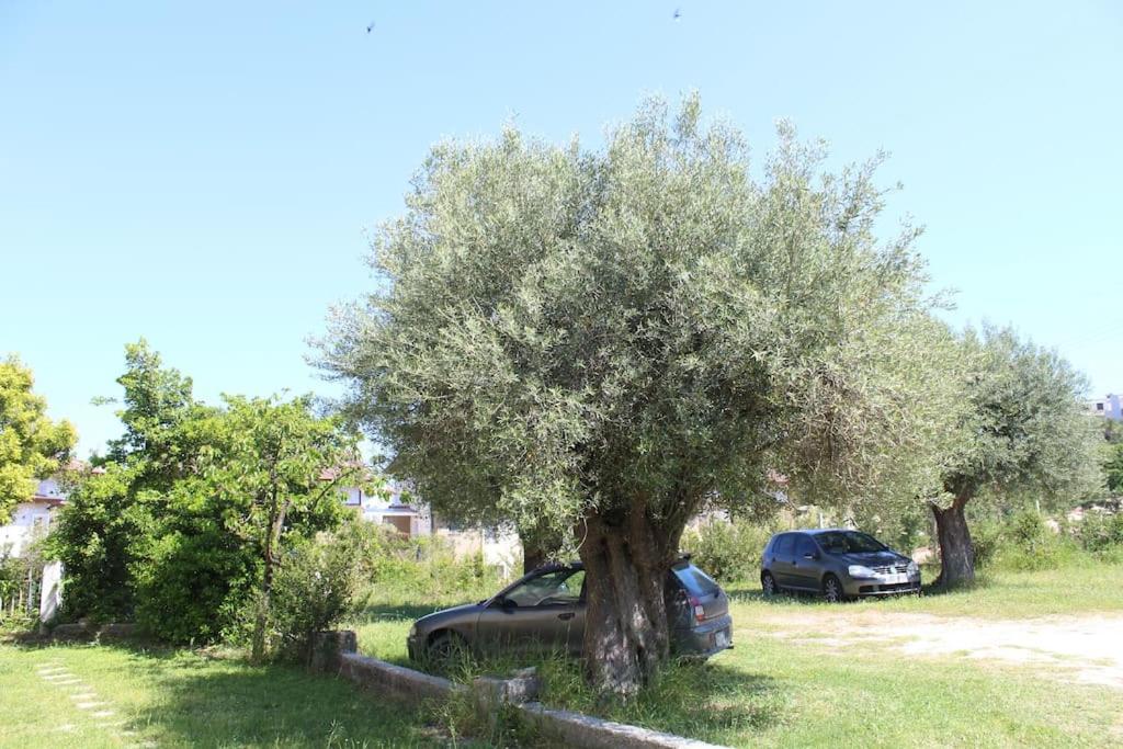 50 metres from the beach