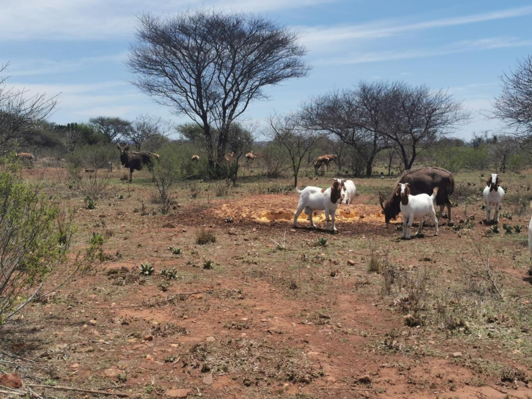 Ka Tembe Self Catering Lodge view 4