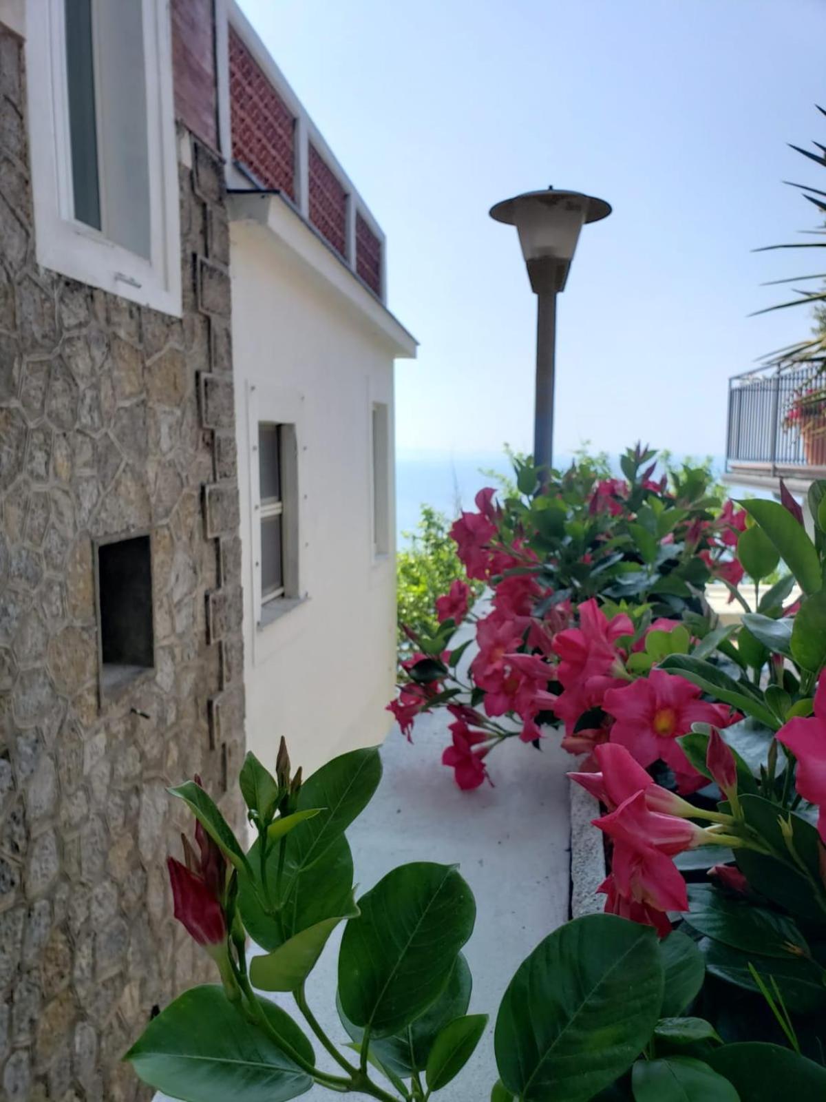 Villa Pino