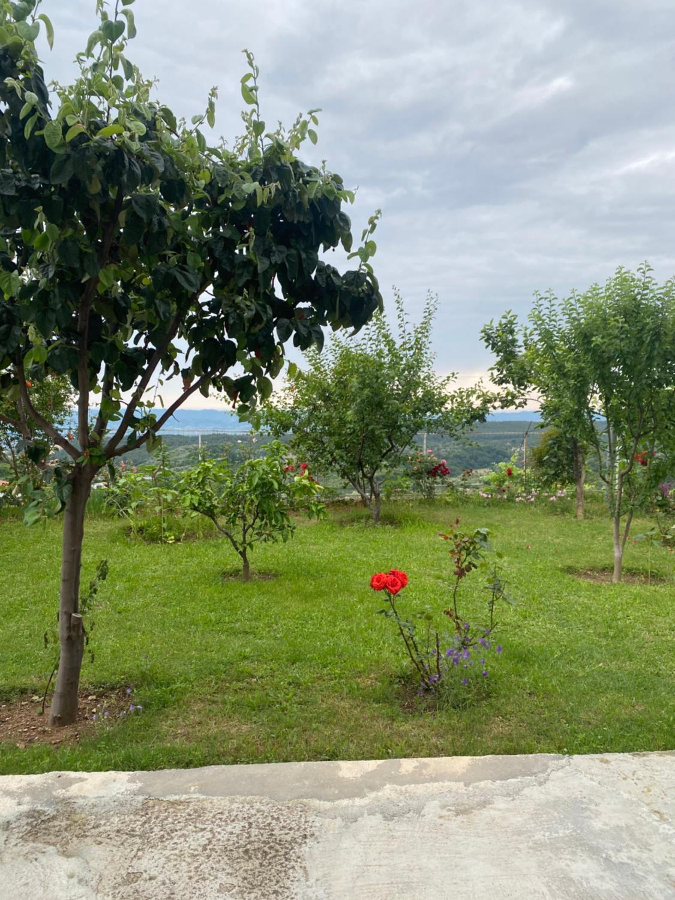 Meti Guest House