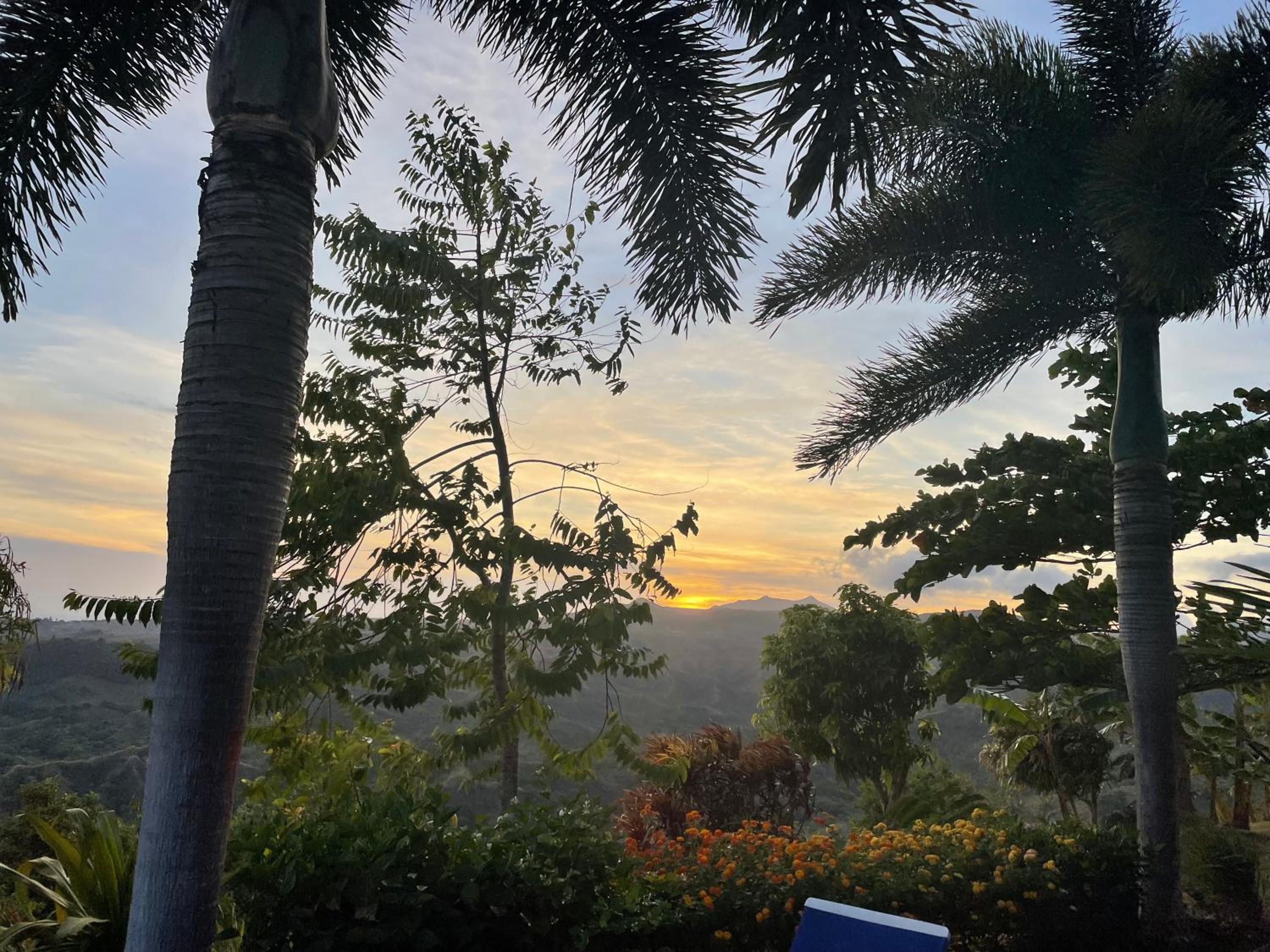 Hawk's Nest Bed & Breakfast view 2