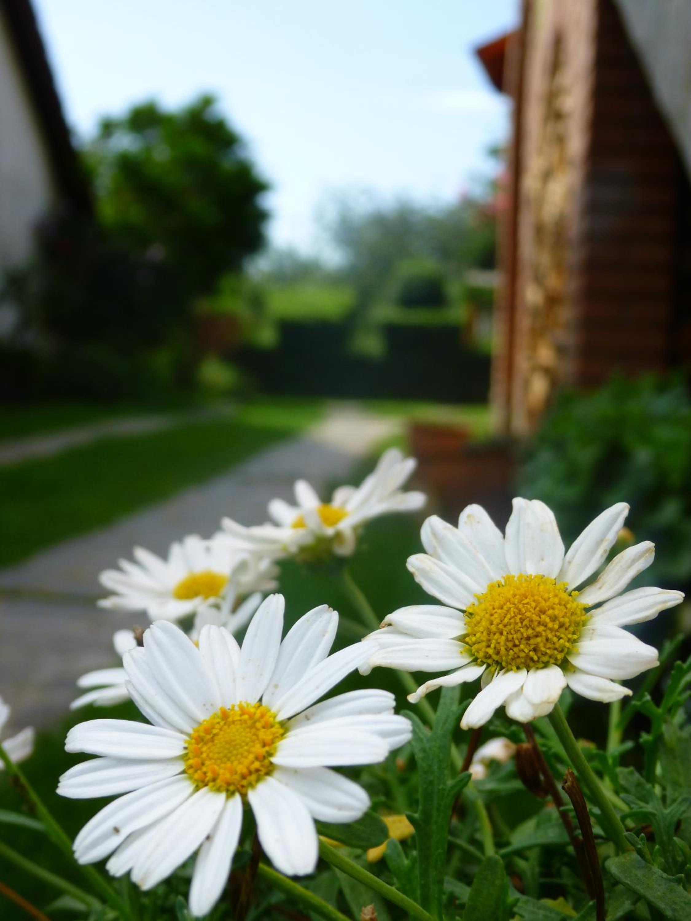 Gréti Apartman