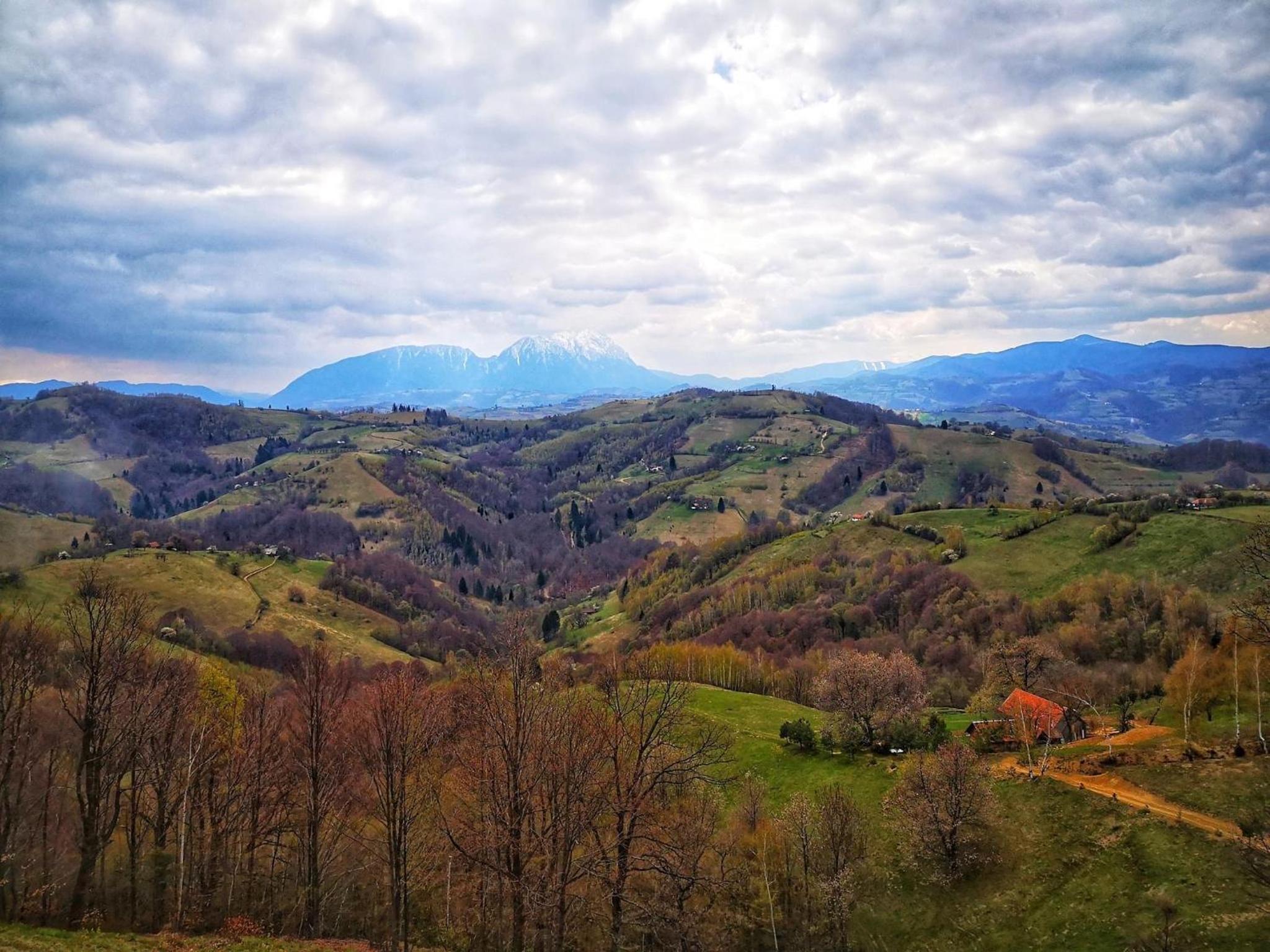 Casa Fratila view 4