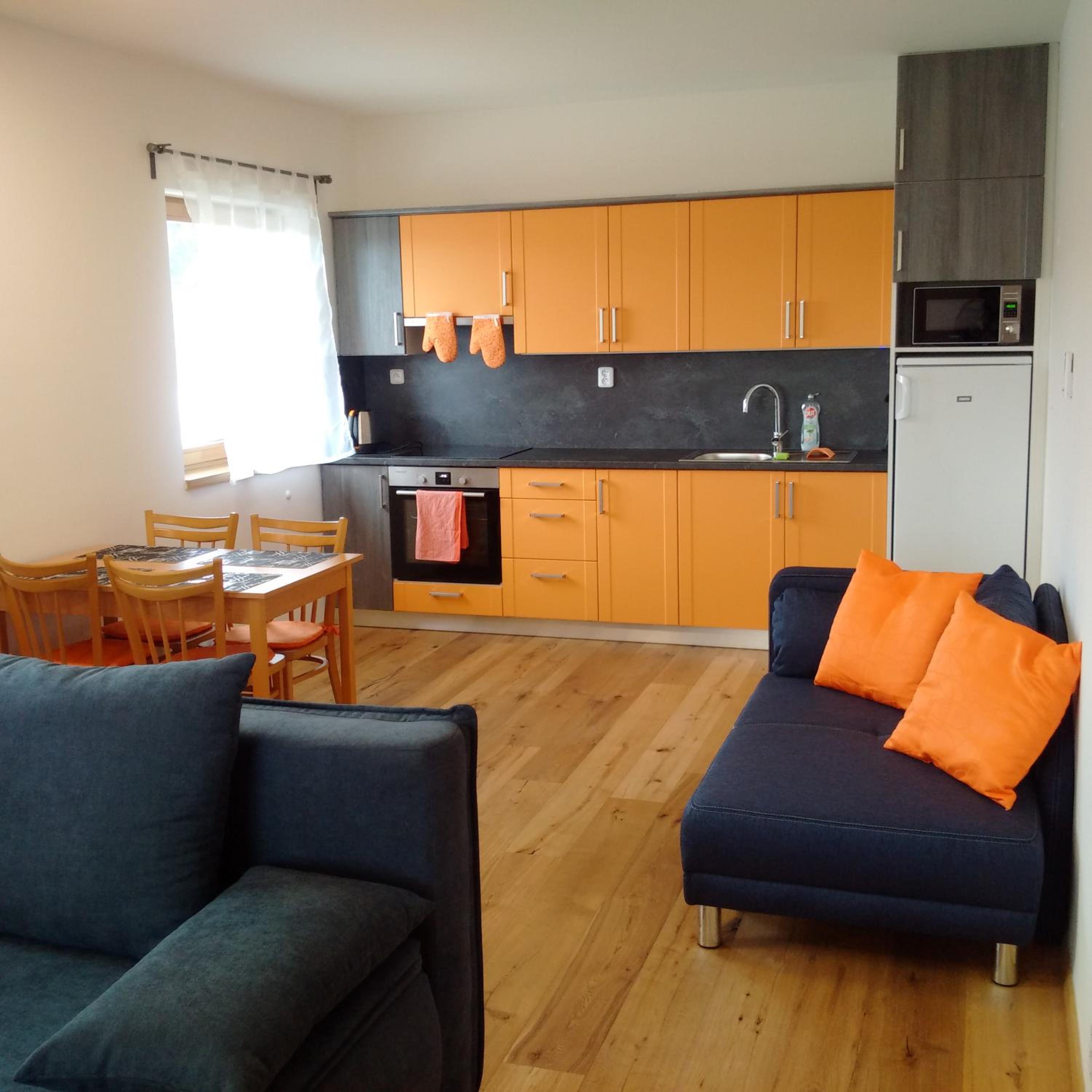 Apartmán u Skiareálu Filipovice