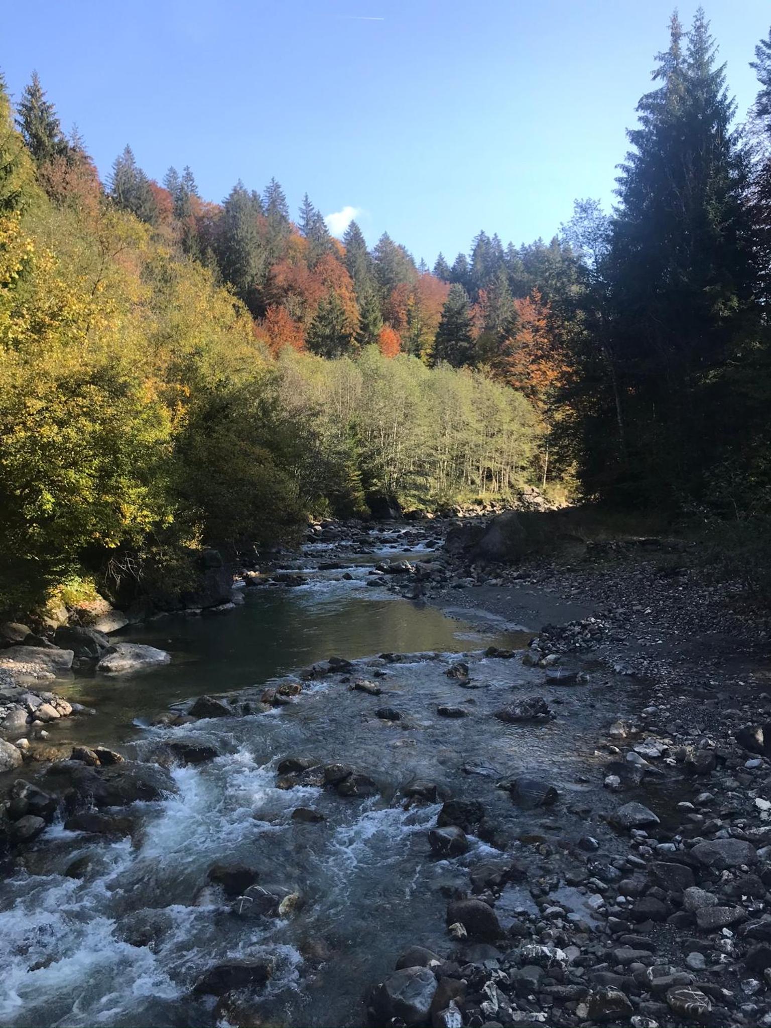 Krähenberg am Rande der Wildnis