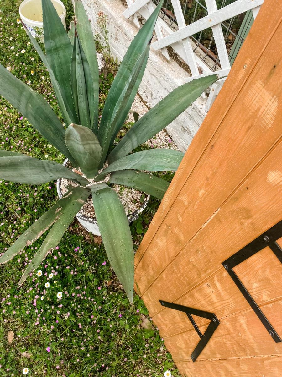 ELÉA Guesthouse himare