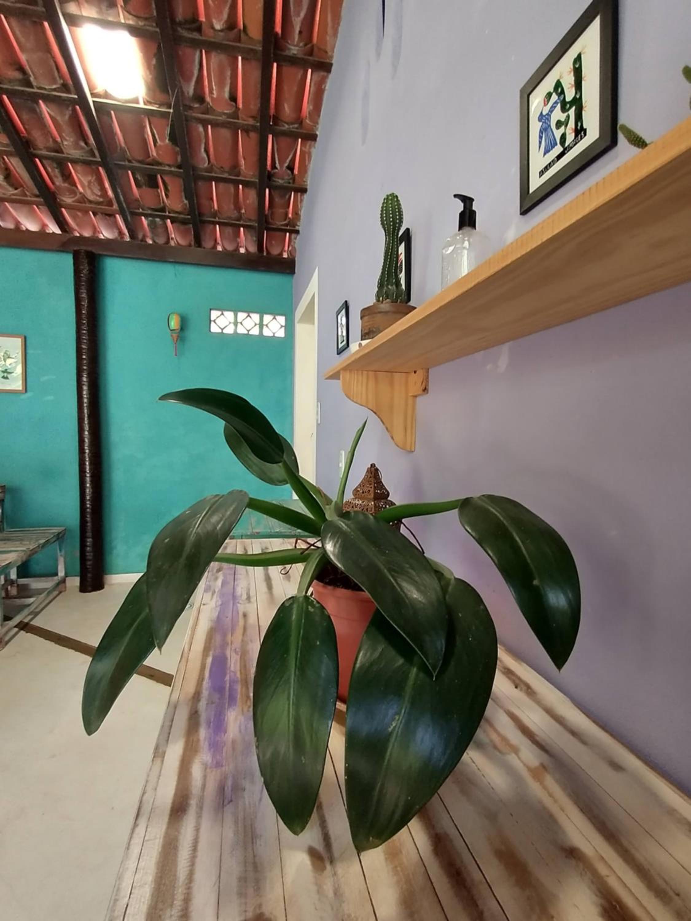 Vila Beija-flor