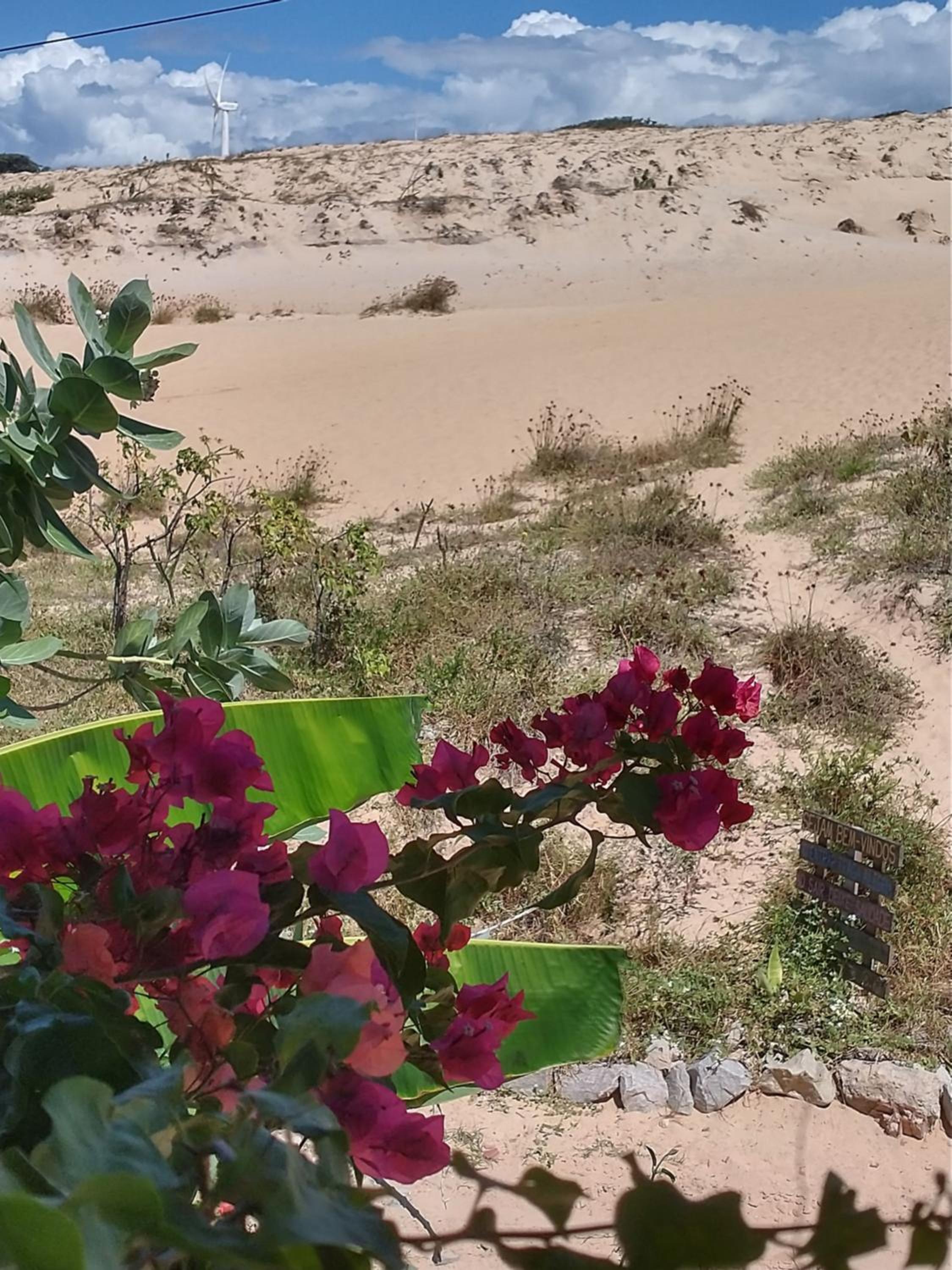Vila Beija-flor