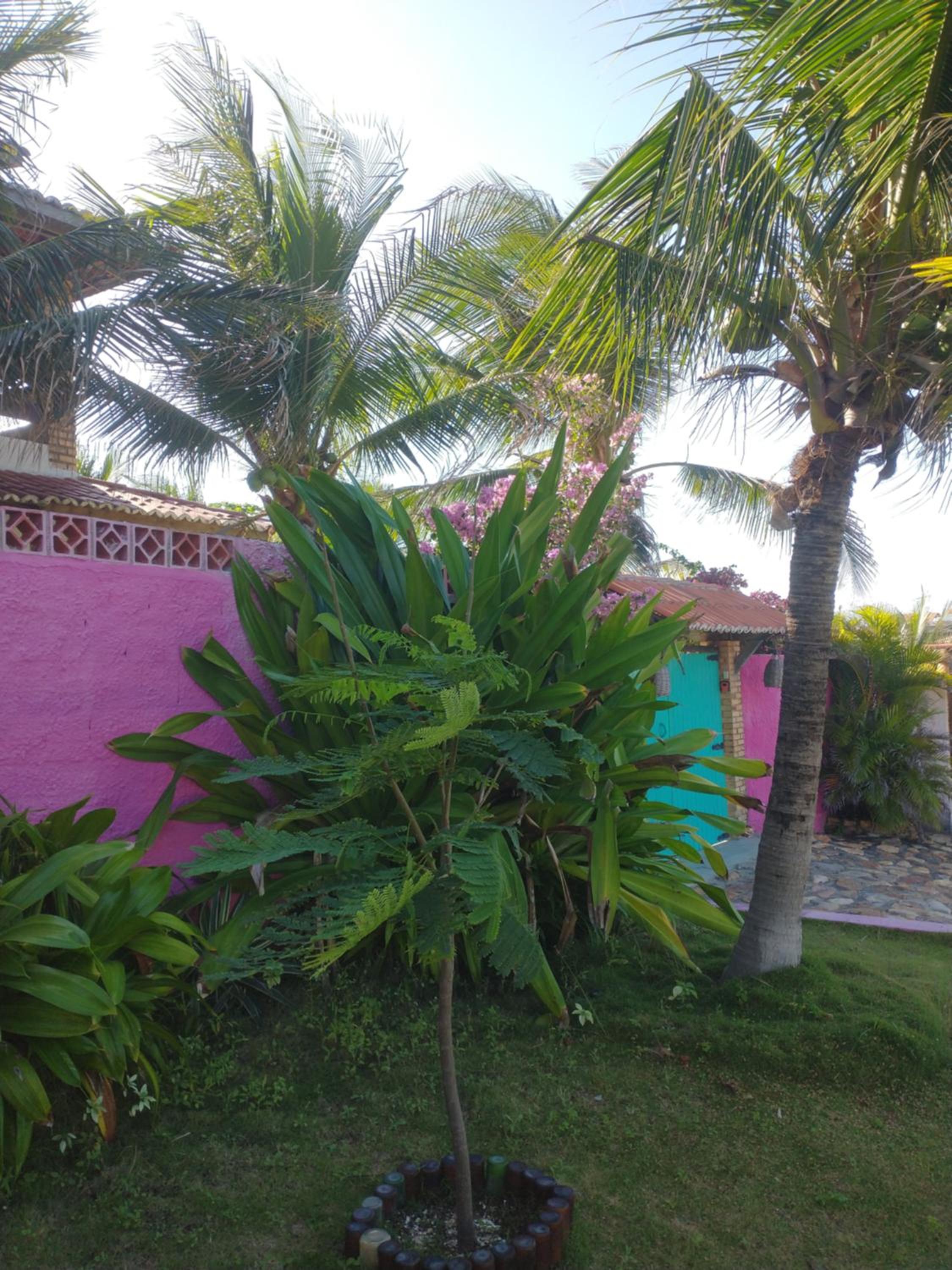 Vila Beija-flor