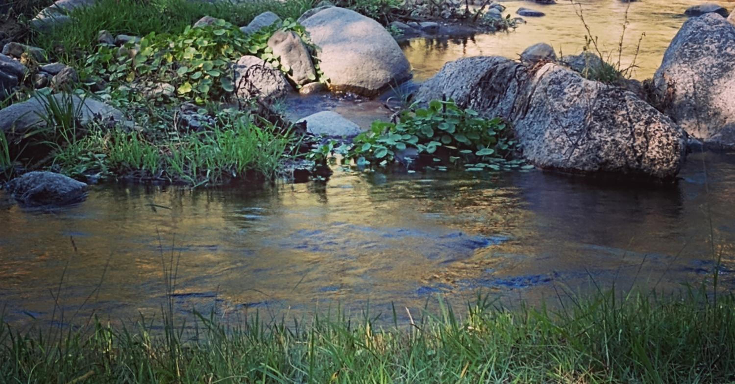 Lacasitadepiedra_Cabana