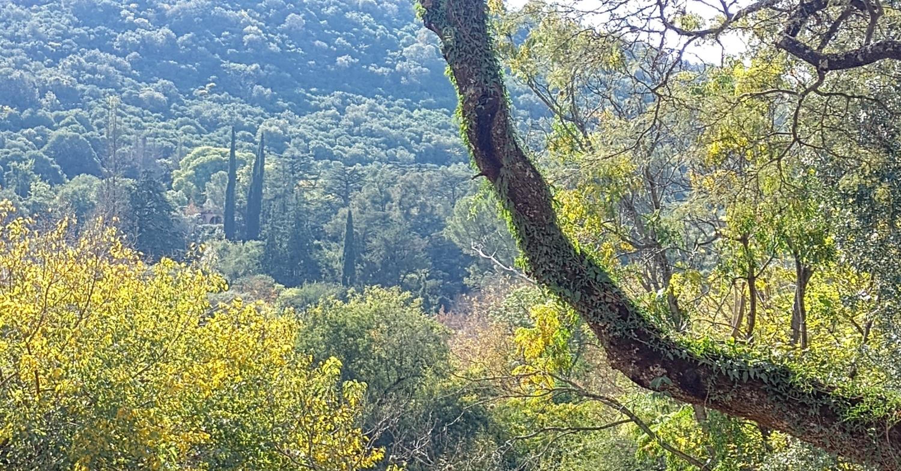 Lacasitadepiedra_Cabana